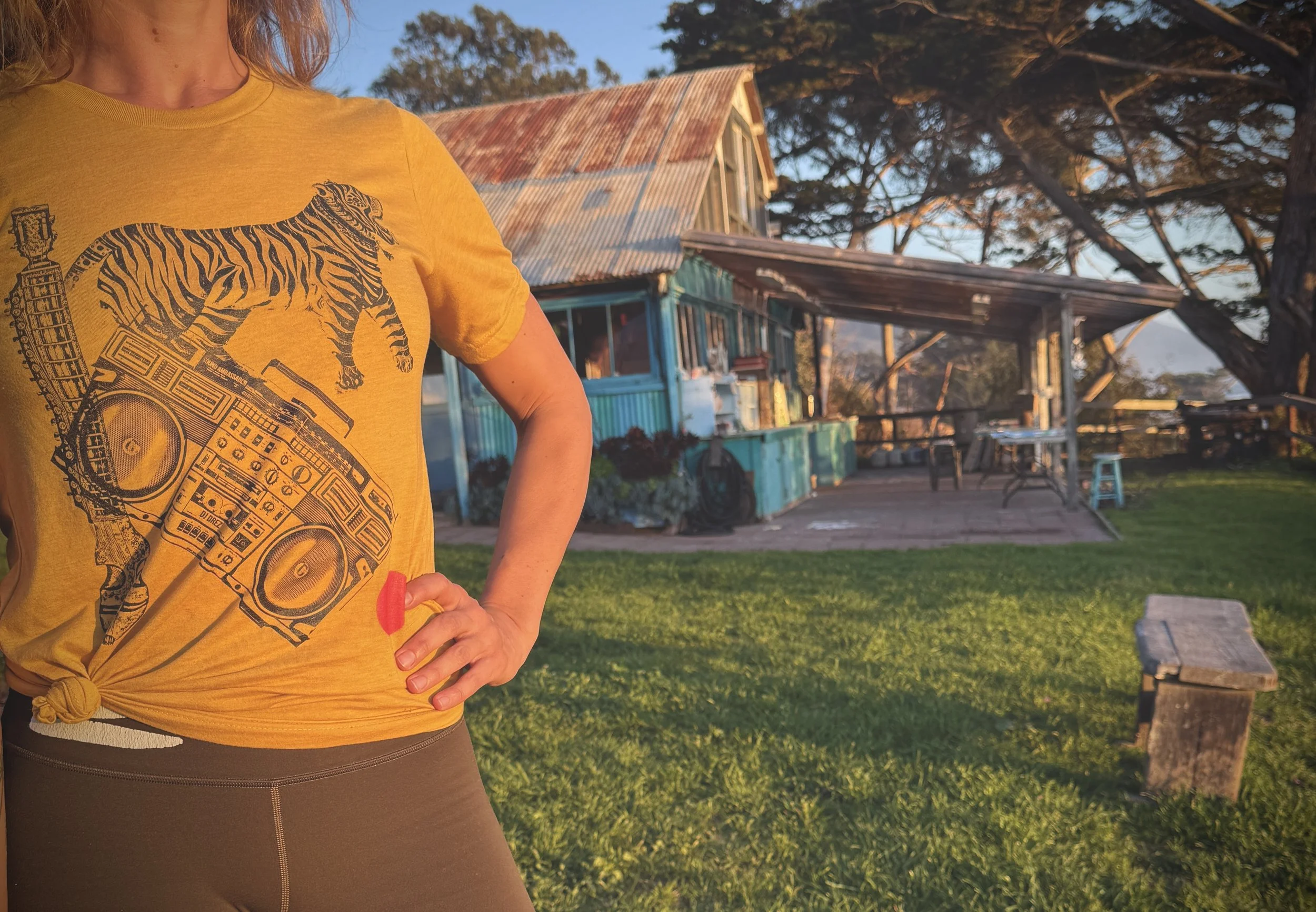 DJ Drez TIger Boom.JPG