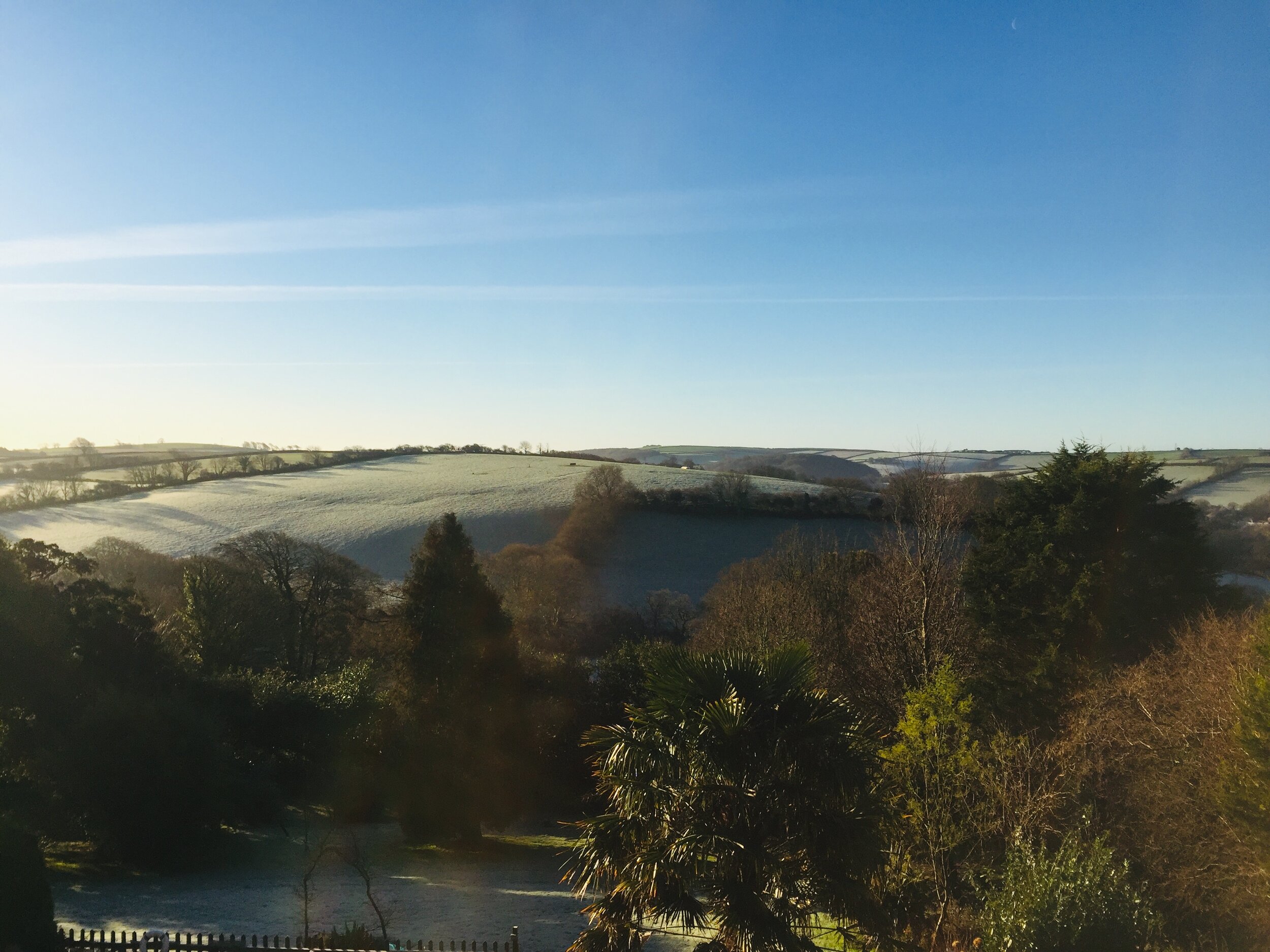 View from attic.jpg