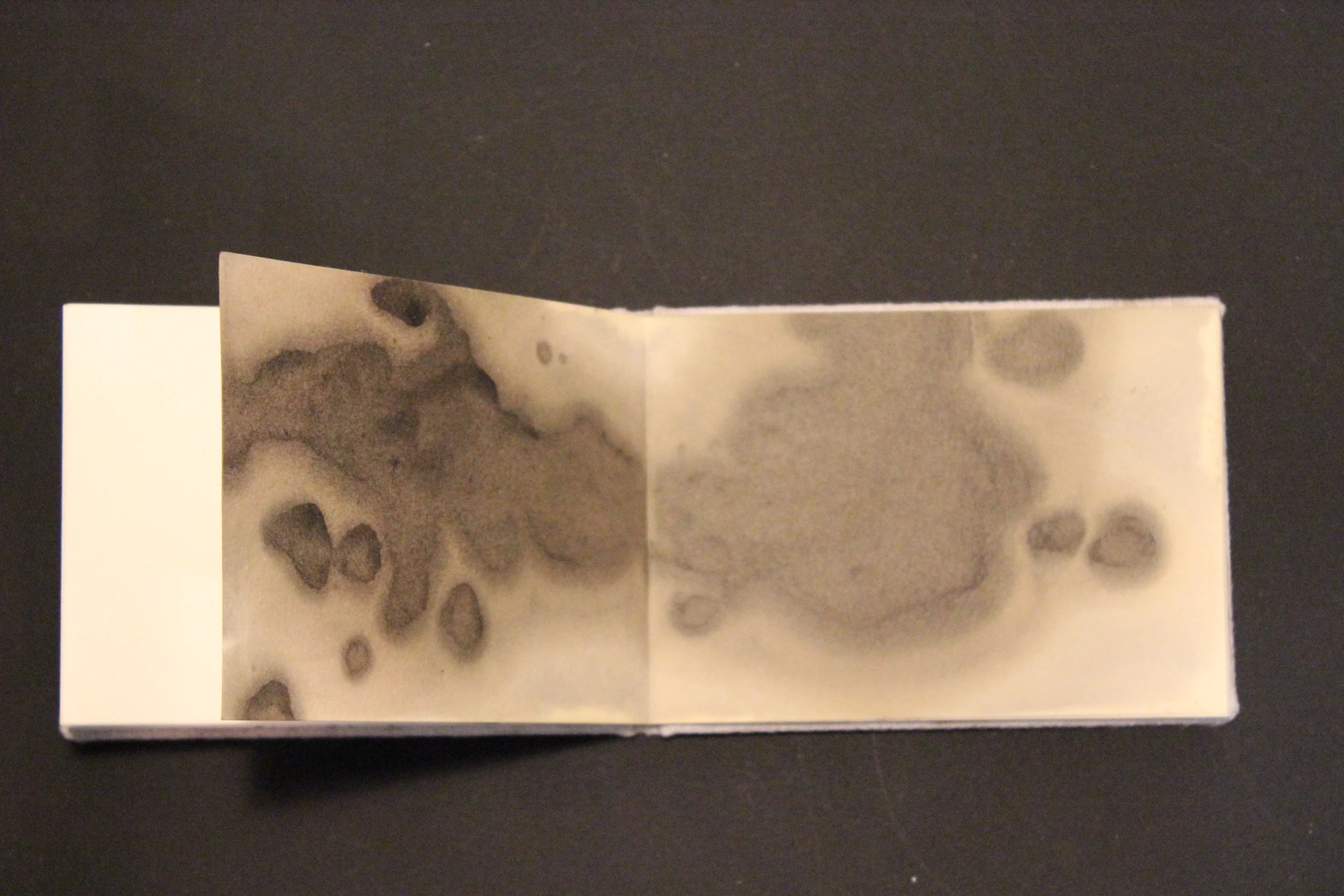   manual:&nbsp;this is how it is,&nbsp;  2013  9pg. - 10pg. blue shop towels, white rag,&nbsp;rust, dirt, oil, tire, gaskets, spark plugs 4'' x 5.5"  © Copyright 2025. All rights reserved. 