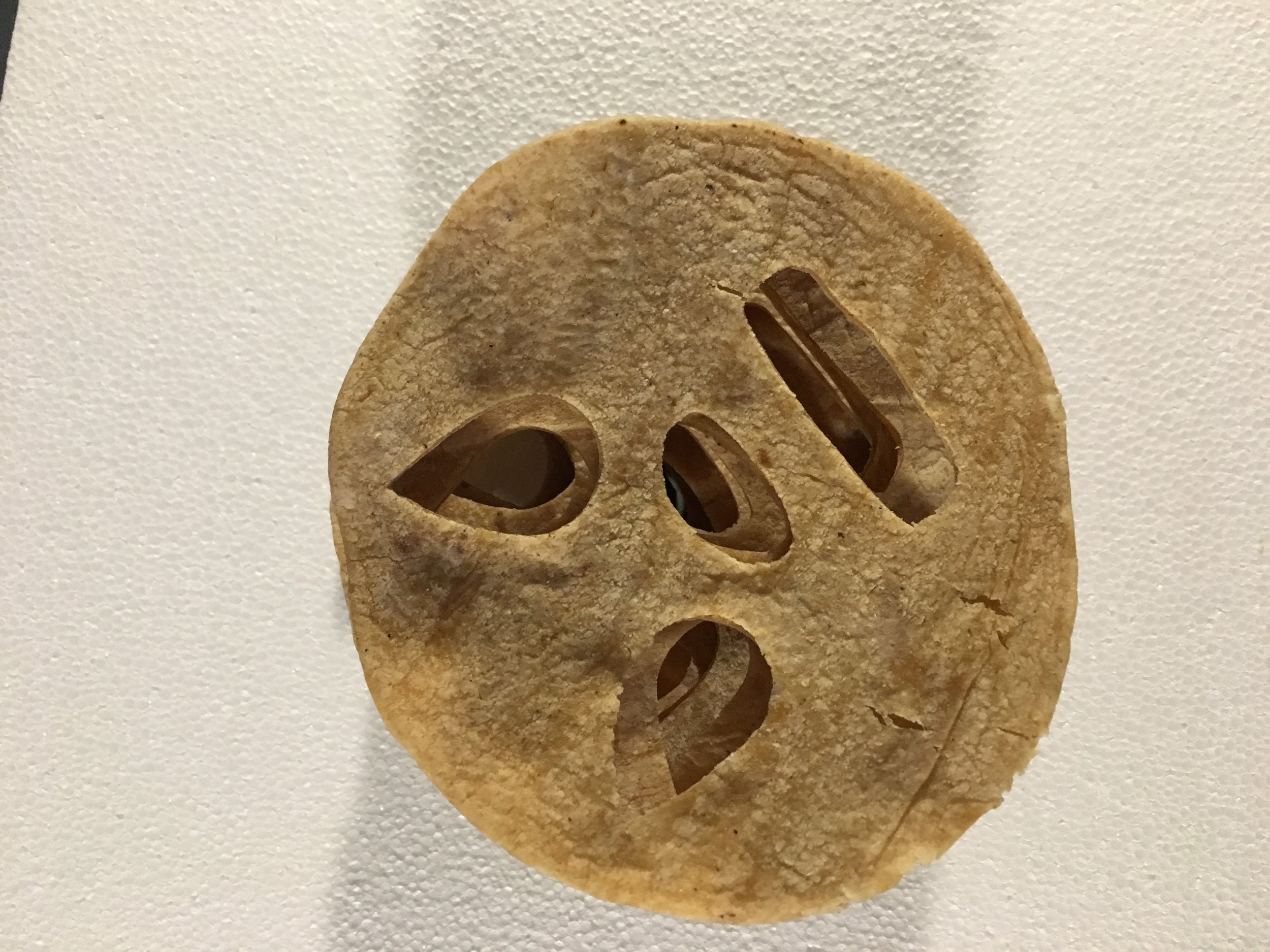   la desconexión es masculinidad (disconnection is masculinity) ,  2017   tortillas de maíz (corn tortillas),&nbsp;styrofoam tortilla warmer, mirror.  12" x 12" x 9' 