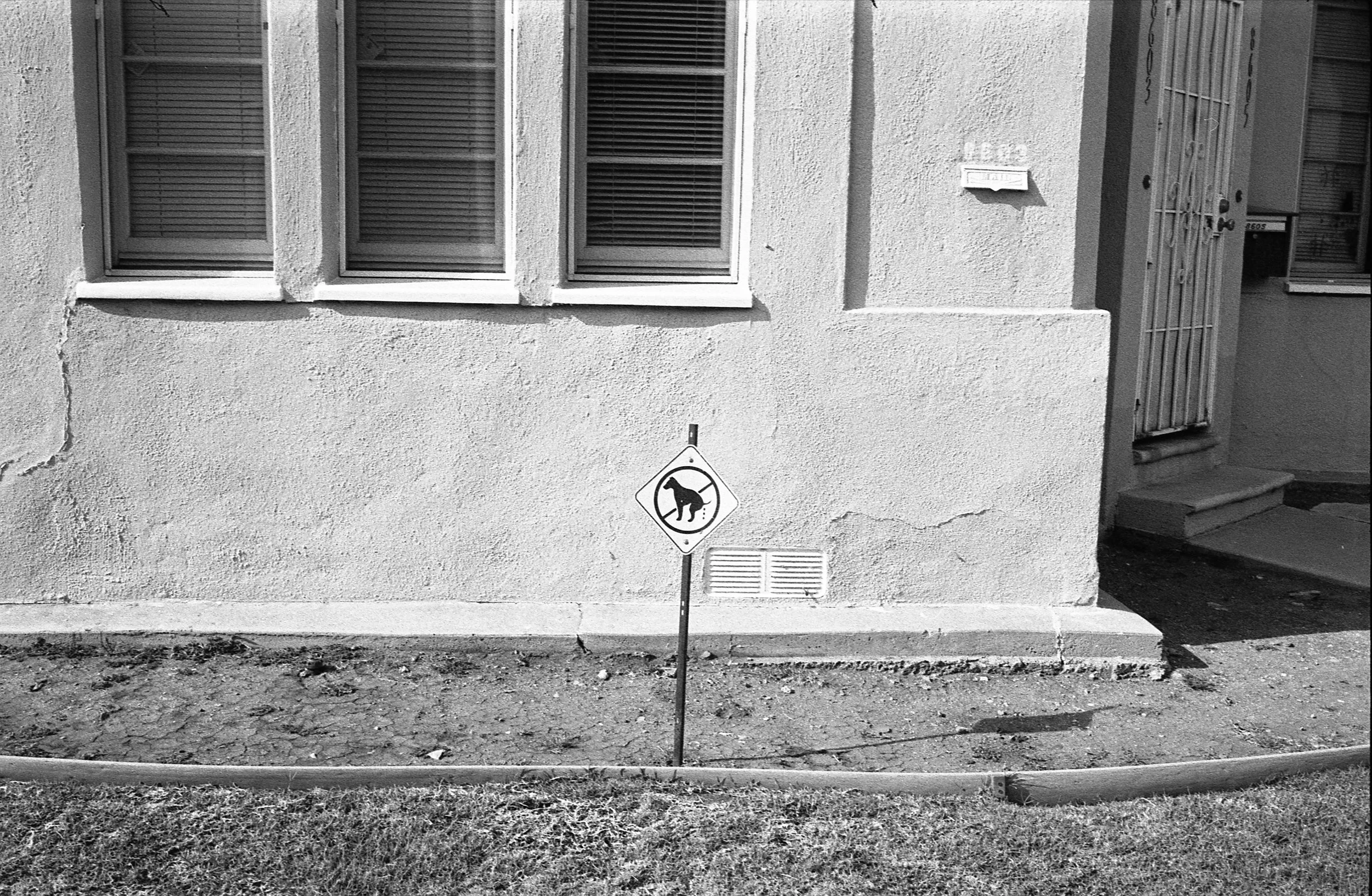 march28-april9 : Whitworth Ave, Los Angeles, CA 2021.jpg