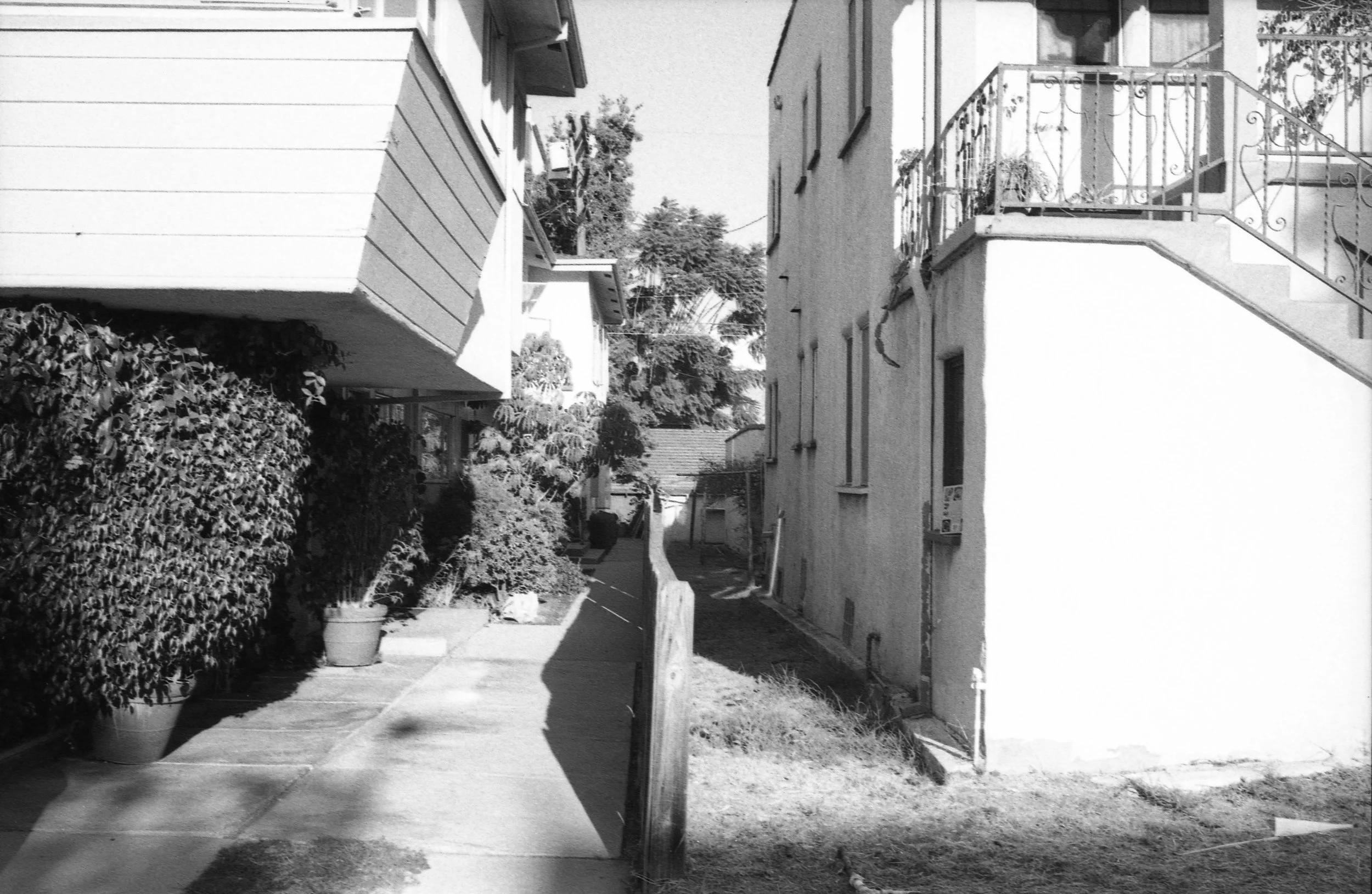 Wooster St, Los Angeles, CA : September 16, 2021 copy.jpg