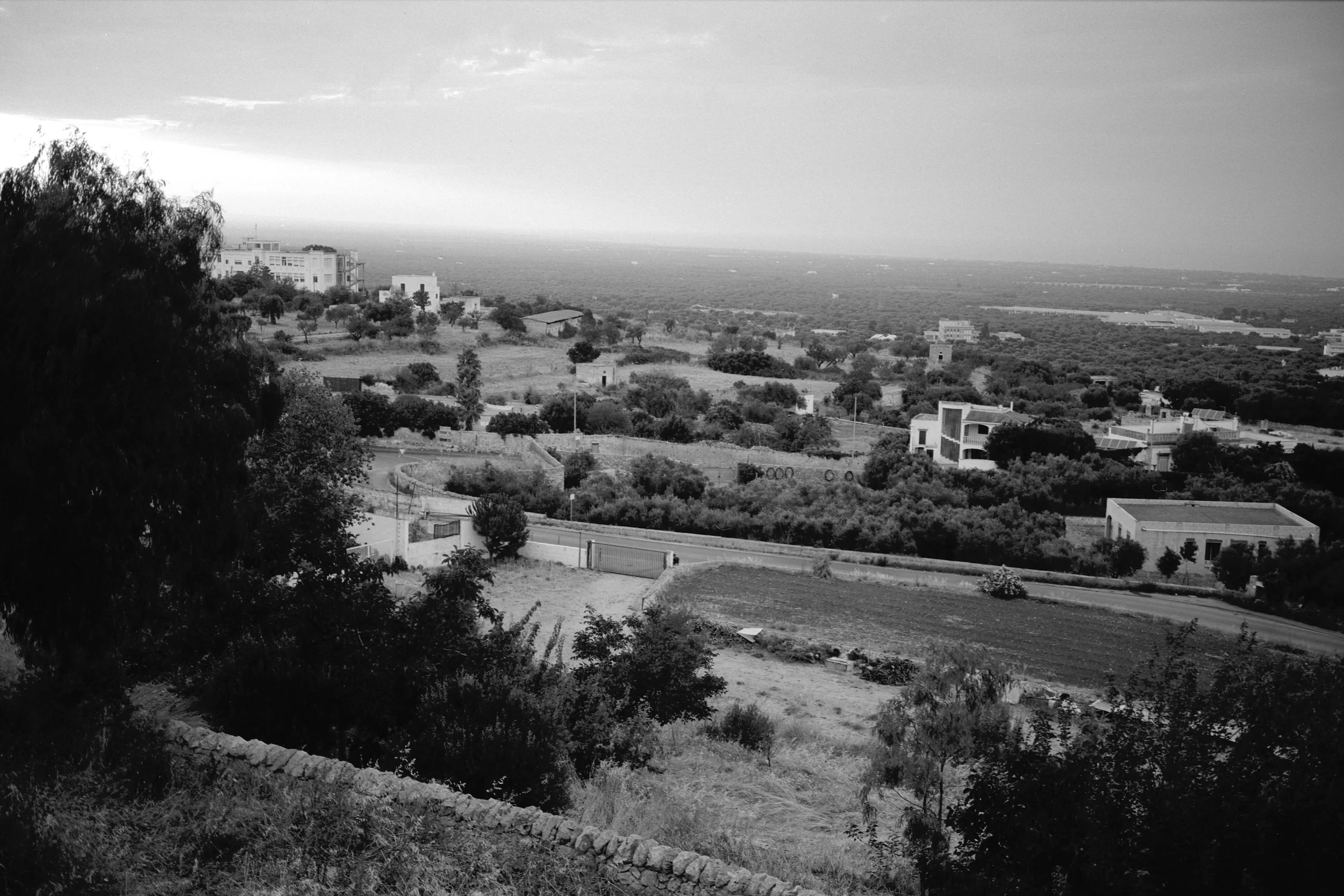 June20260707_0014 copy.jpg