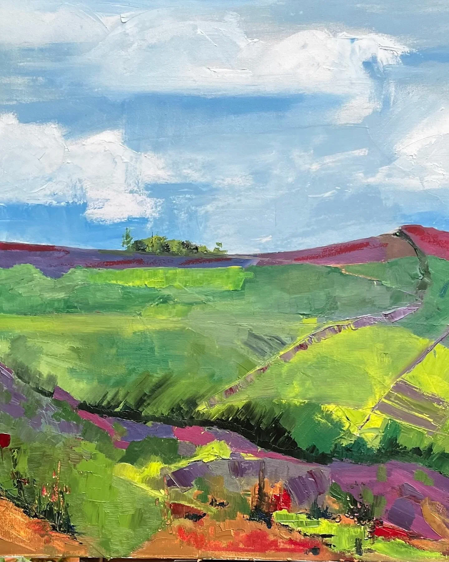 Skellgill #dallowgill #60 x 60 cms unframed #oils #canvas #colours #moors #moorland #heather #sky #wilderness #yorkshire #trees