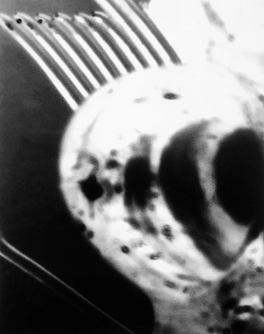 PROOFPHOTOETCH16.jpg