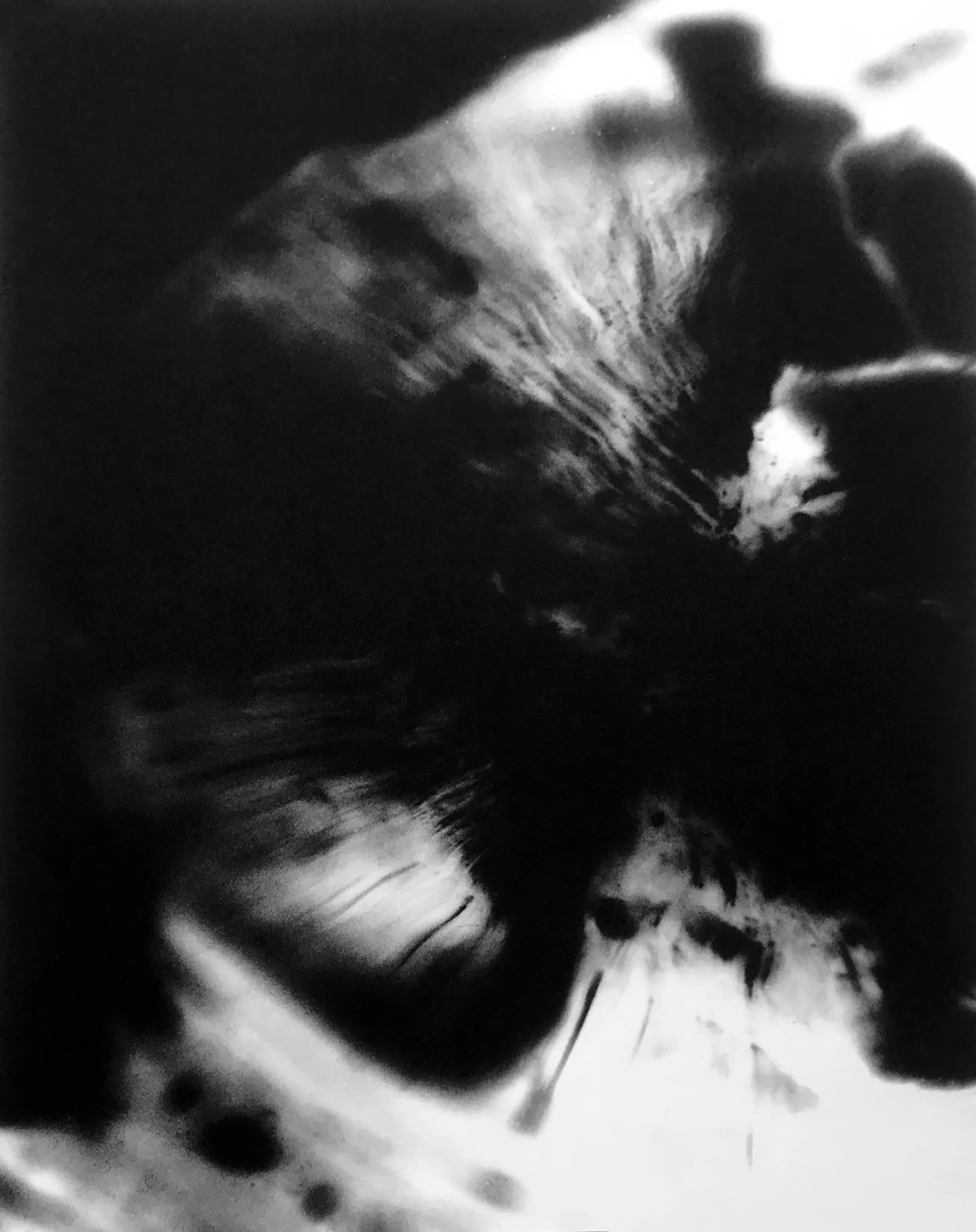 PROOFPHOTOETCH17.jpg