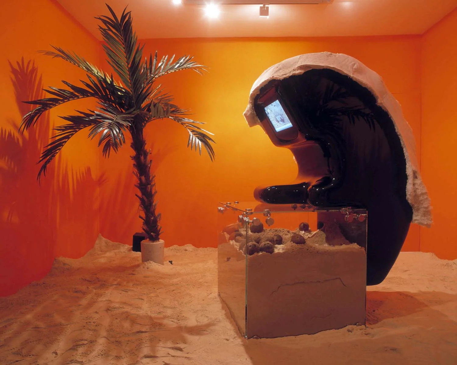 SH-Playa-wideBHGPEER7.jpg