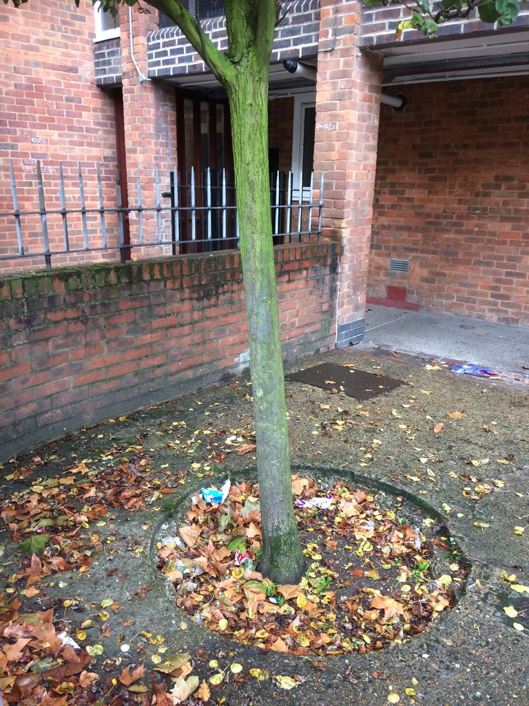 Arden Gardens before
