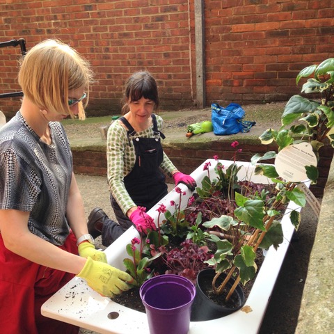 Planting Tubs on Myrtle Walk