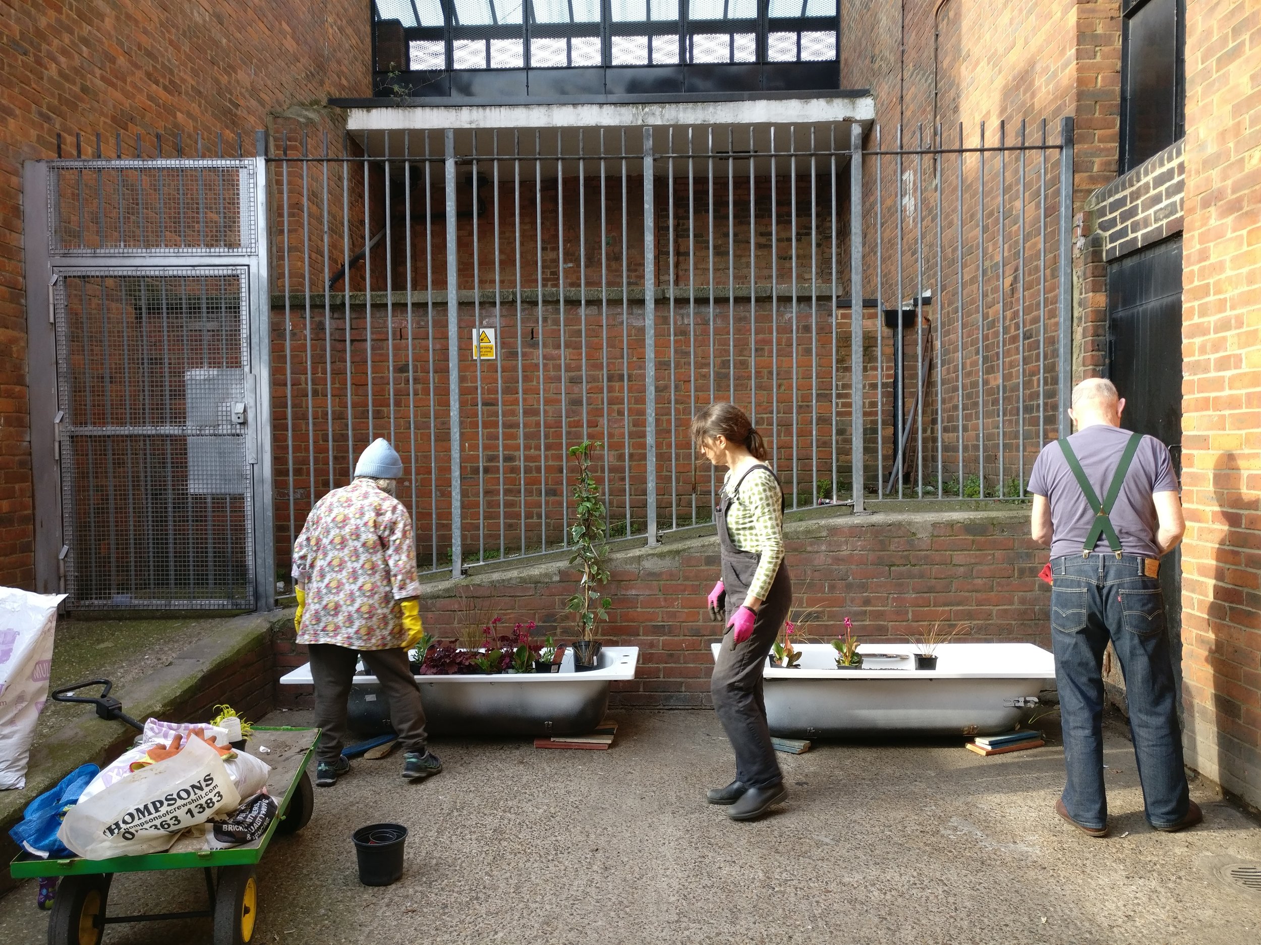 Planting Tubs on Myrtle Walk