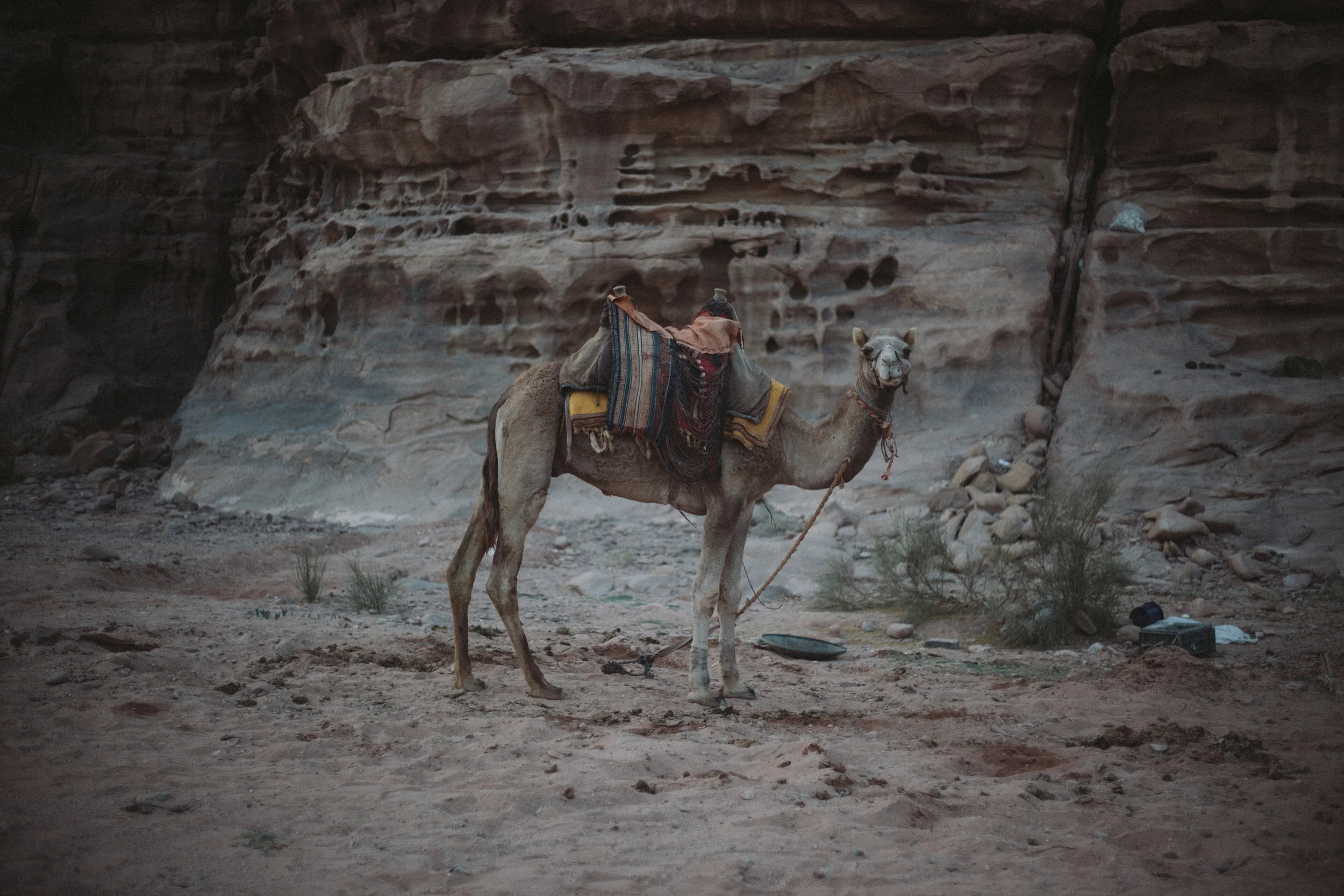 jordan (9 di 21).jpg