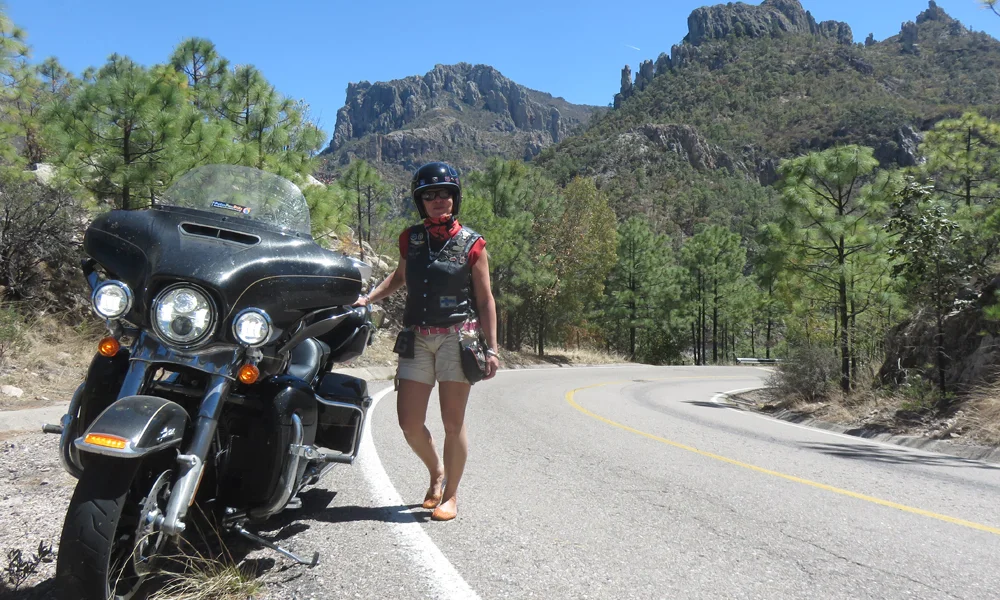 Tarja, HD ja Chihuahua.