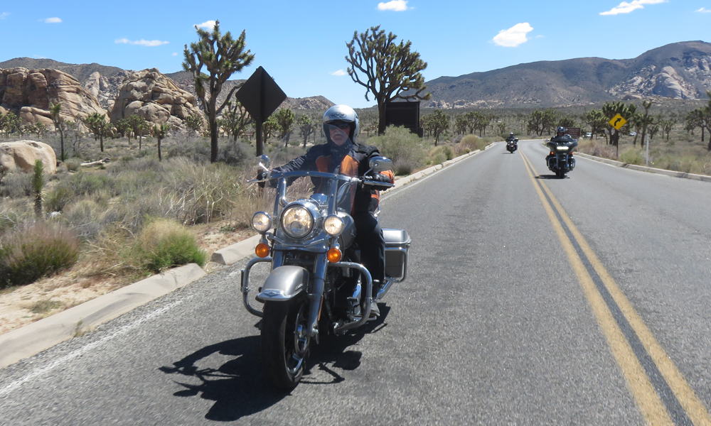 Joshua Tree NP