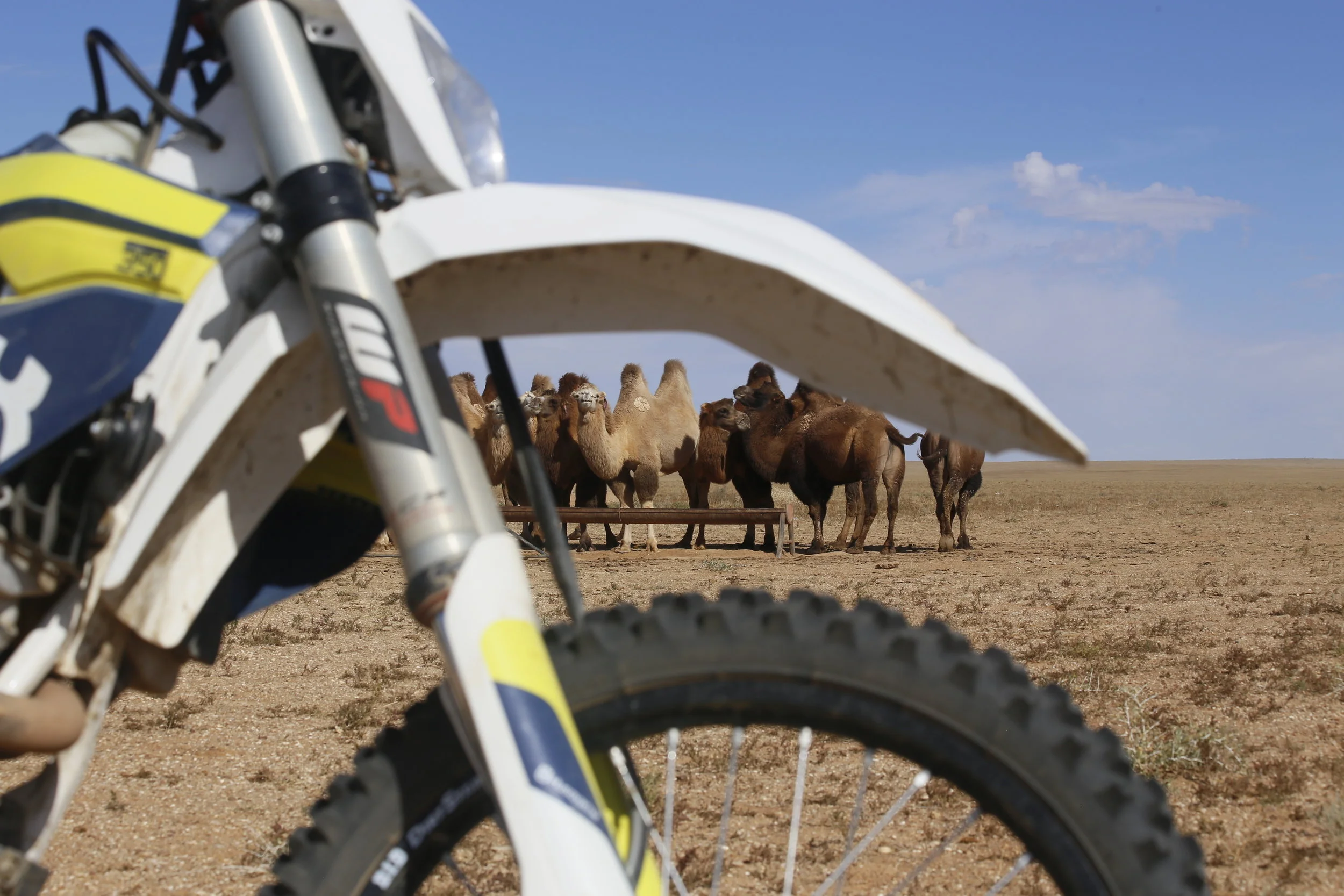 Päivä 6 | Mongolia | Dalanzadgad - Olziyt | 170 km