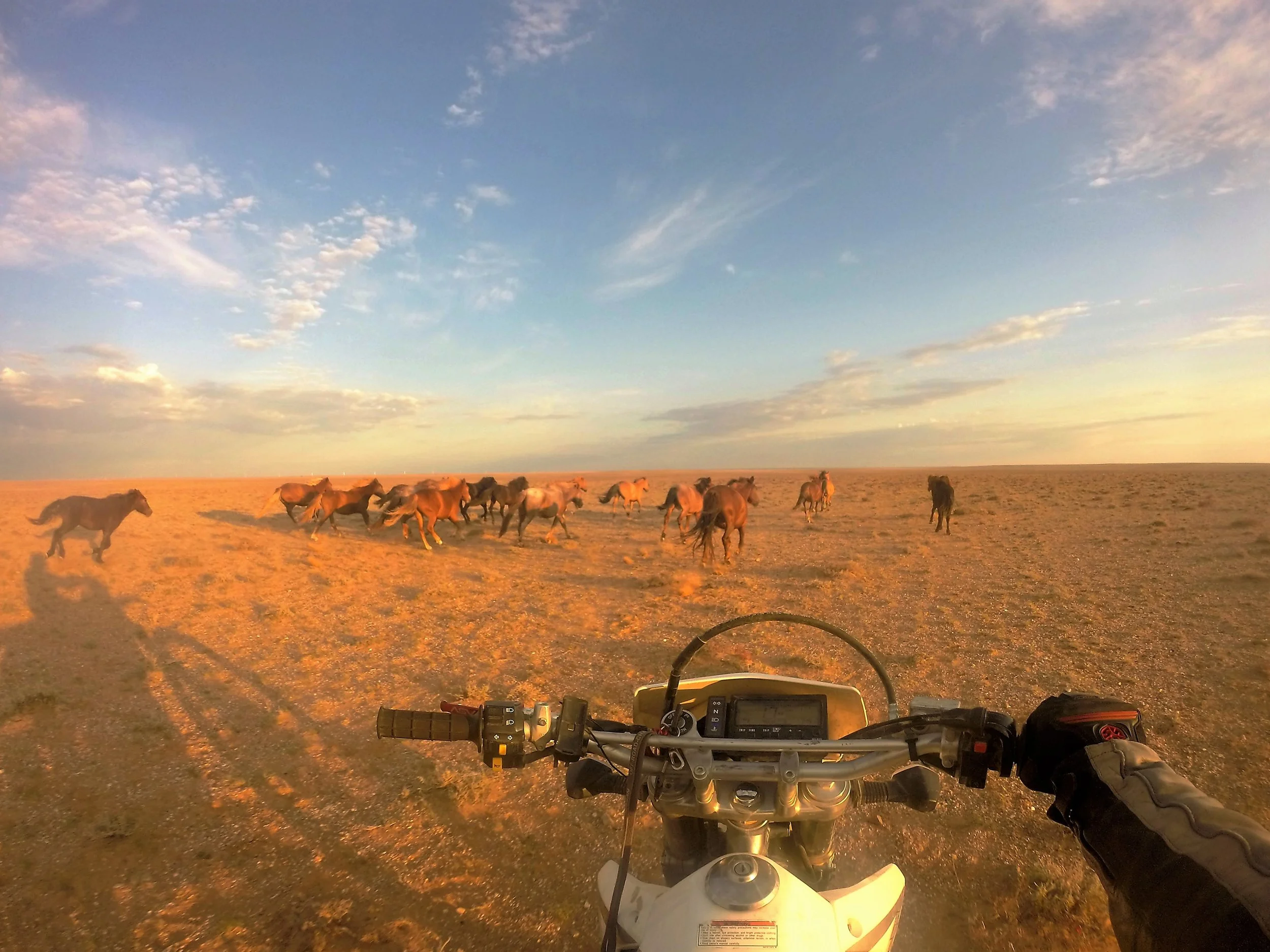 Päivä 7 & 8 | Mongolia | Olziyt - Ulan Bator - Helsinki