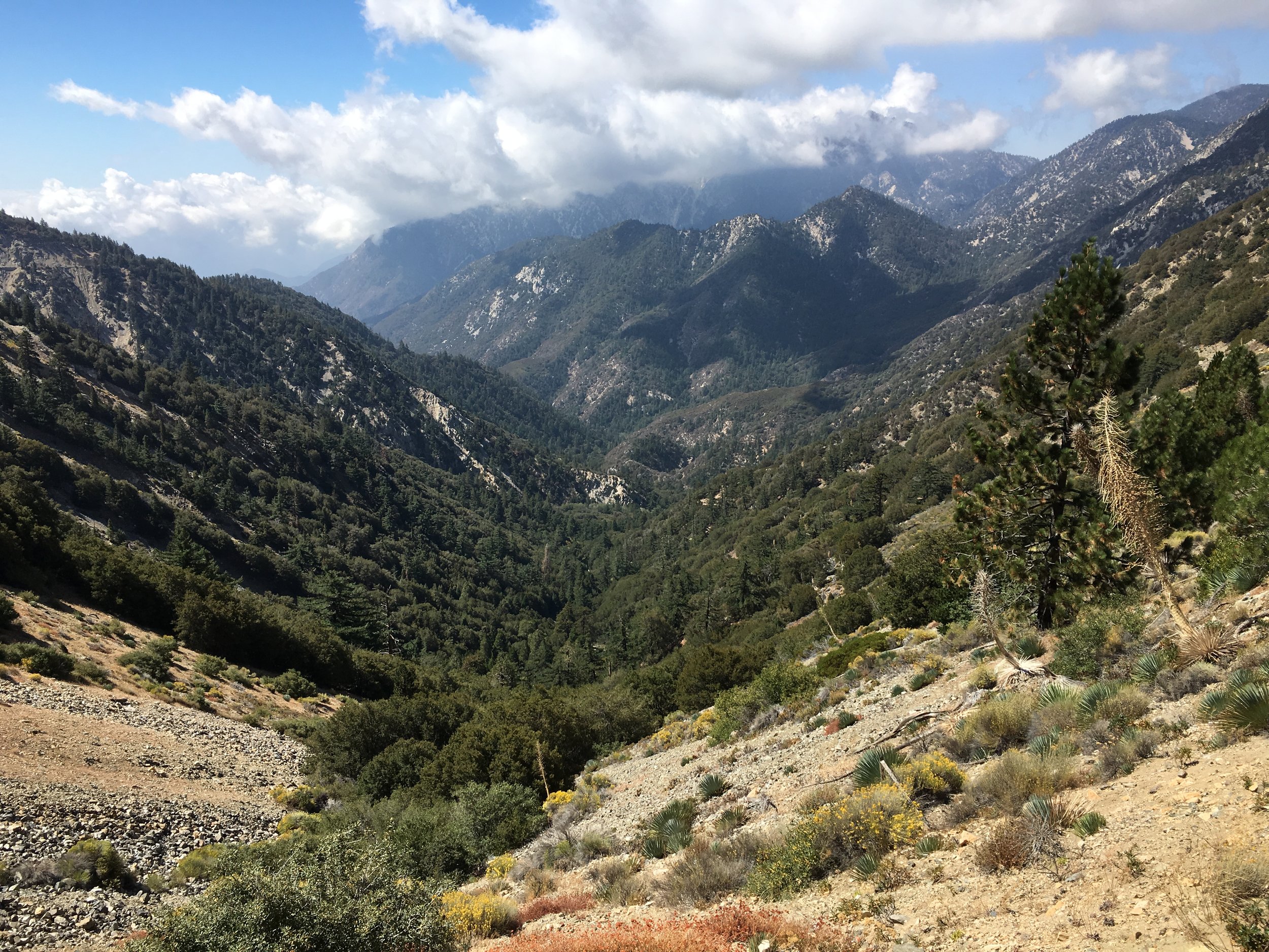 Maisemaa Angeles Crest Highwaylta