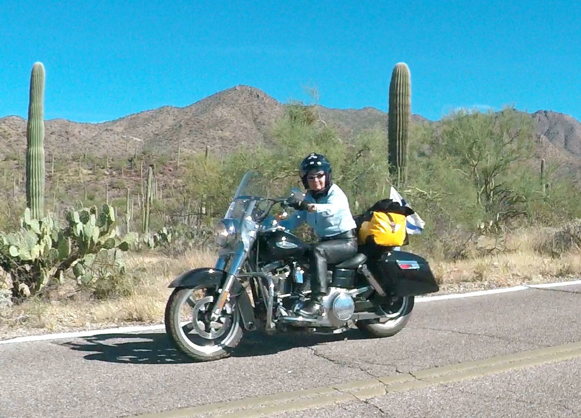 Arizonan upeissa kaktusmaisemissa kohti Californiaa.