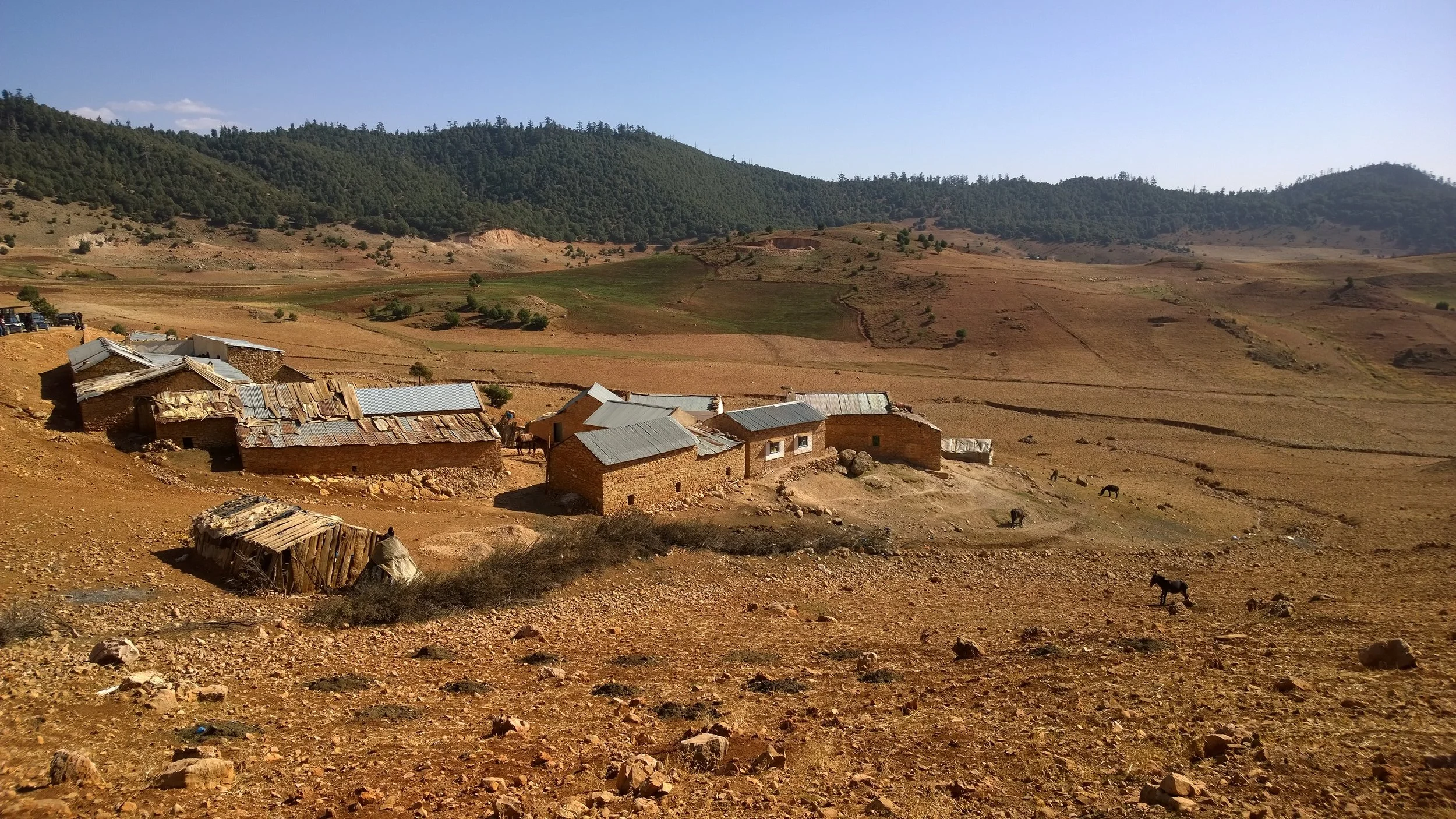 Paikalliset paimentolaiset asuvat oikein vaatimattomissa majoissa...