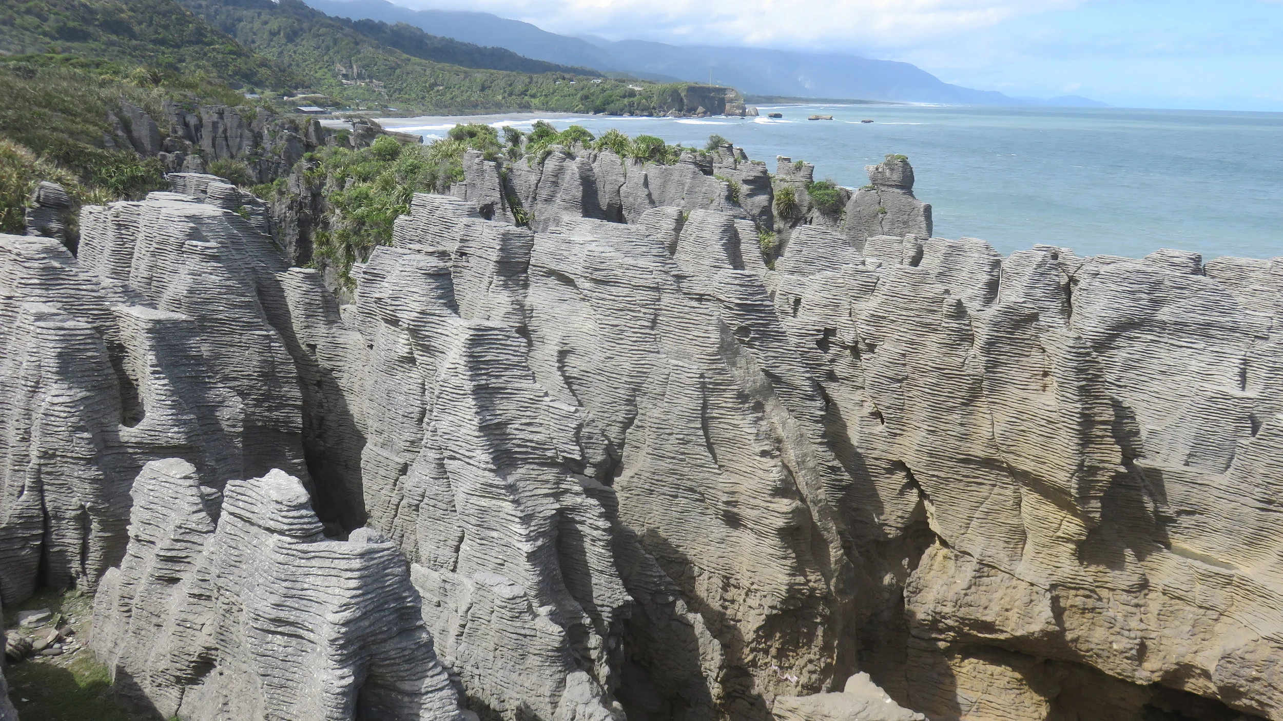 Päivä 08 | Uusi-Seelanti | Westport - Fox Glasier