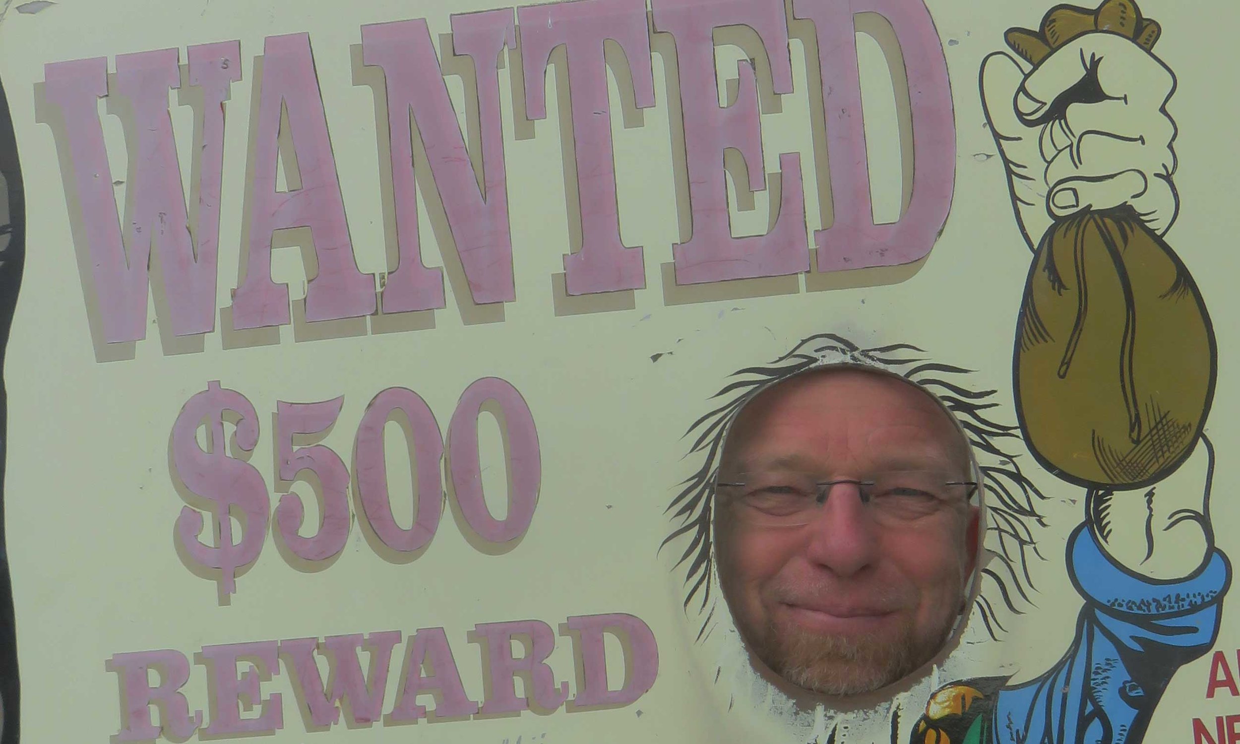 $500 palkkio dead or alive!