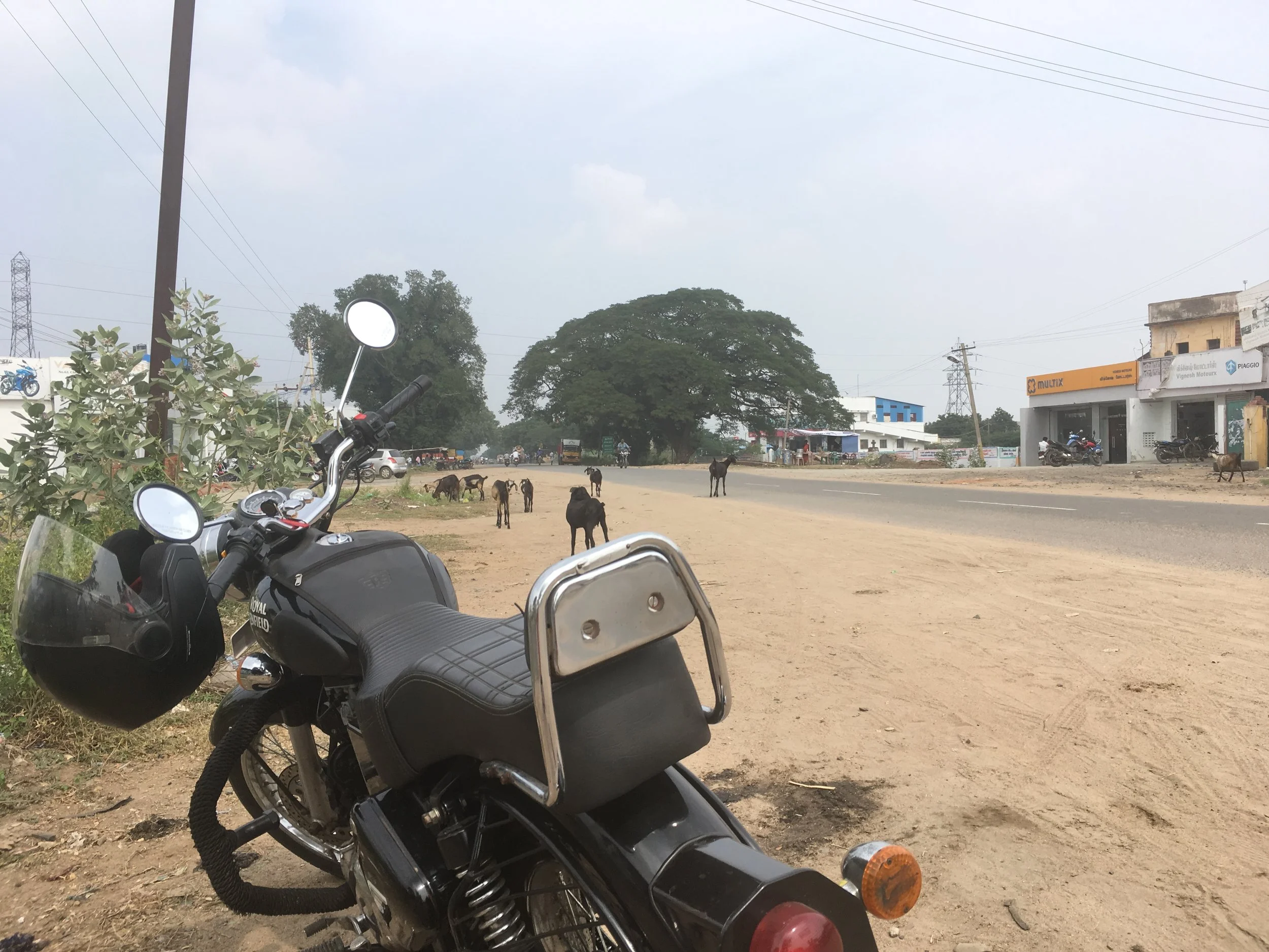 Päivä 10 & 11 | Intia | Tiruchirapalli - Pondicherry | 201km