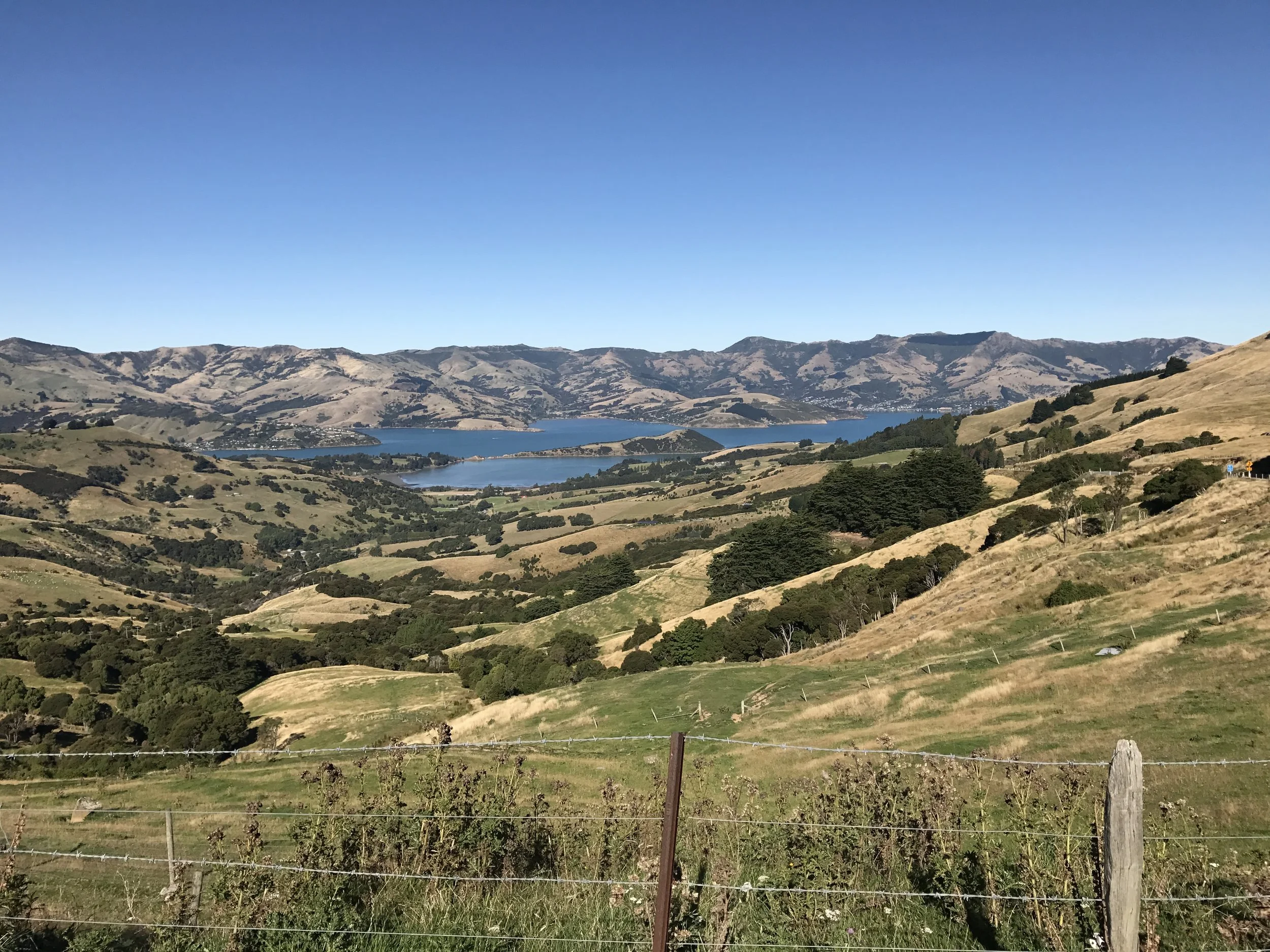 Päivä 13 | Uusi-Seelanti | Cromwell – Tekapo - Akaroa | 470km