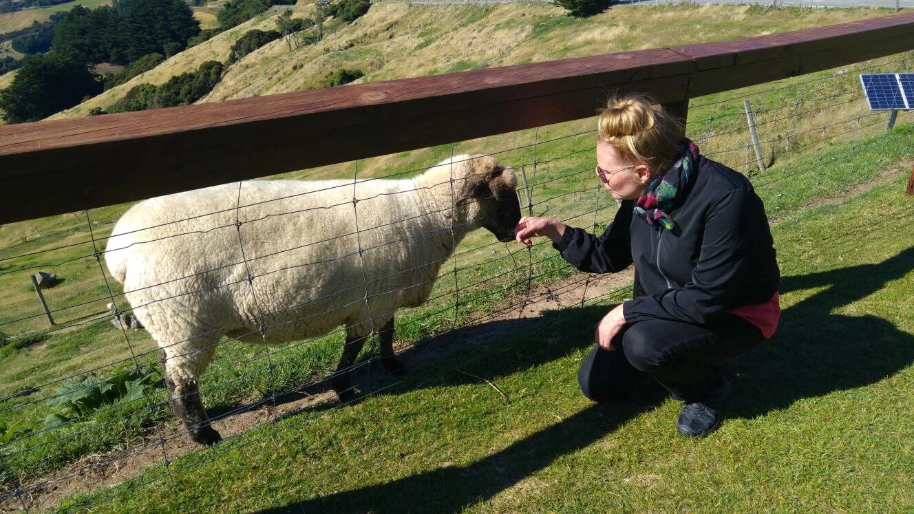 Päivä 14 | Uusi-Seelanti | Akaroa – Christchurch | 100km