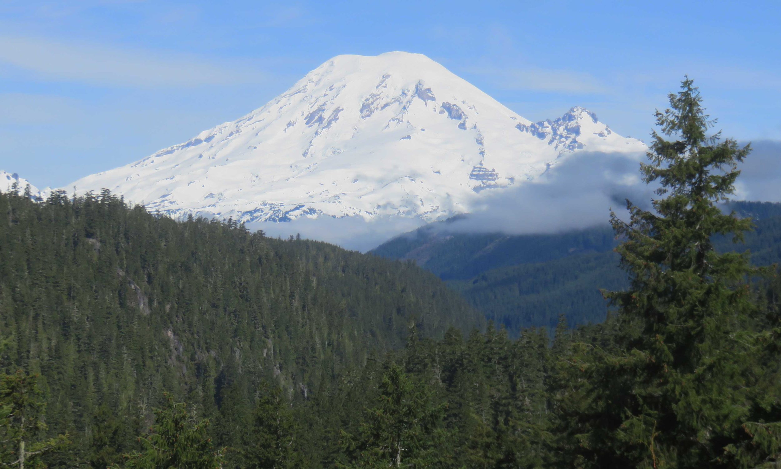Mt Reinier