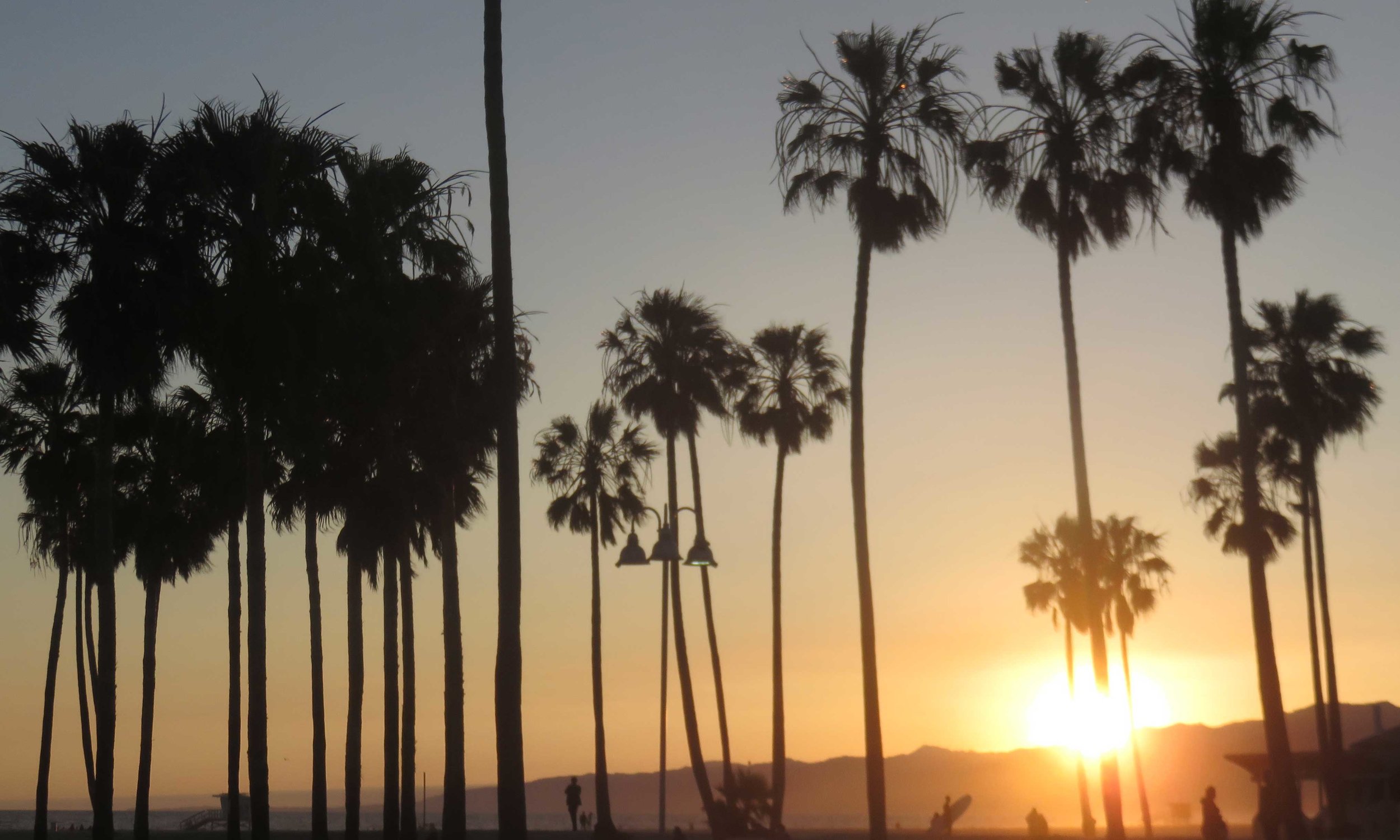 Venice Beach...