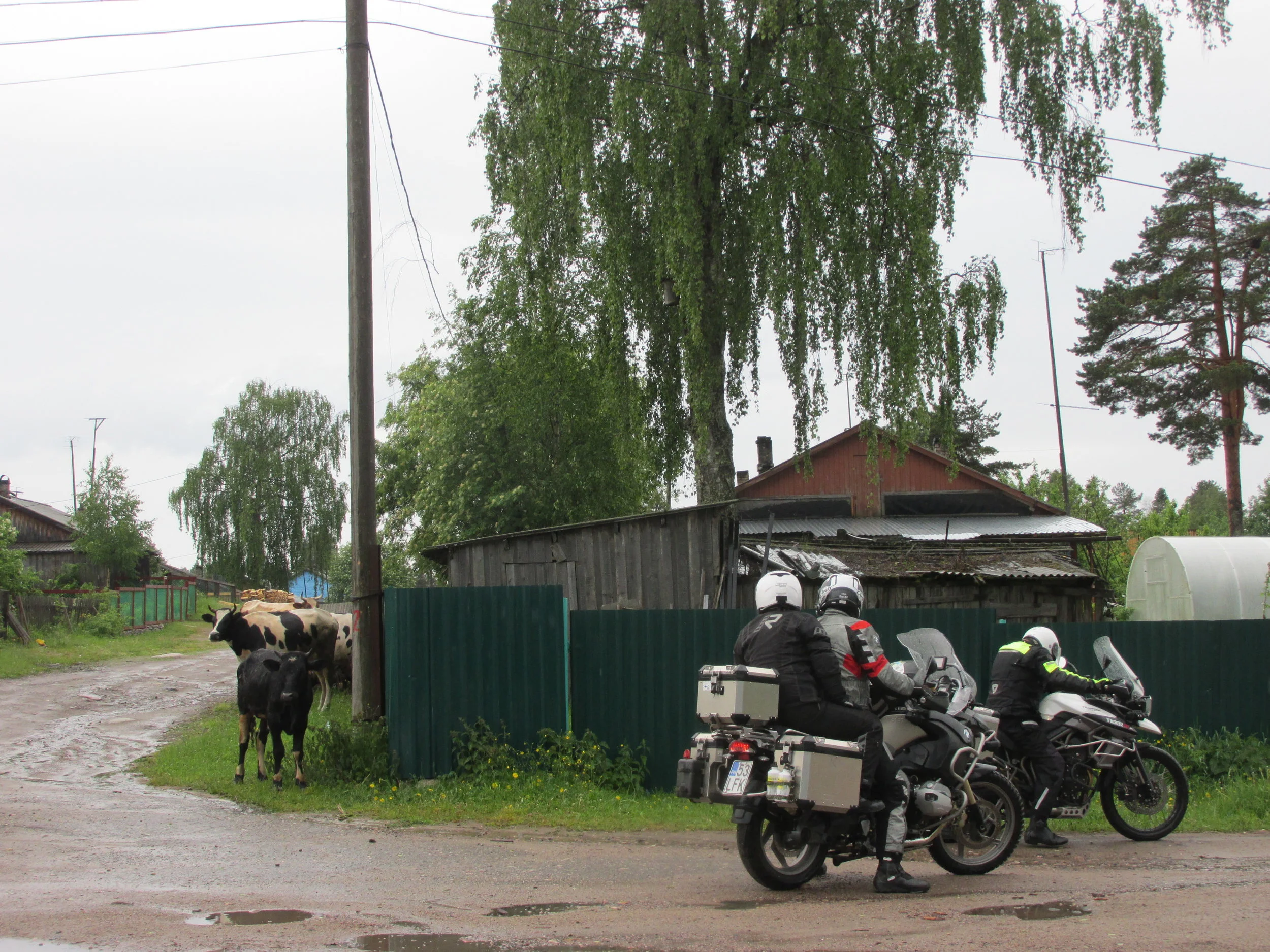Neljällä jalalla tai kahdella pyörällä – miten vaan!