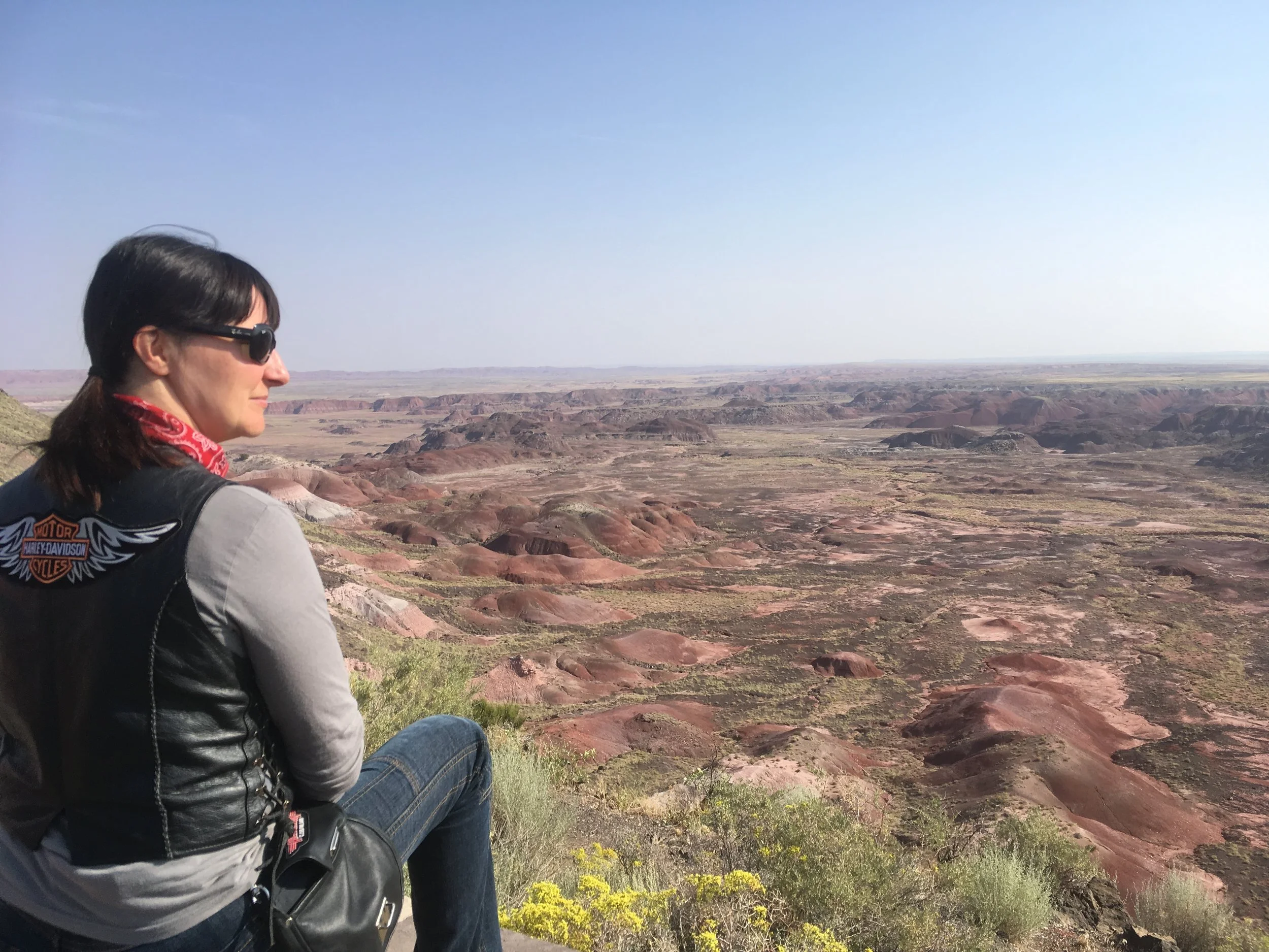 Päivä 5 | Gallup - Flagstaff - Prescott | 480km