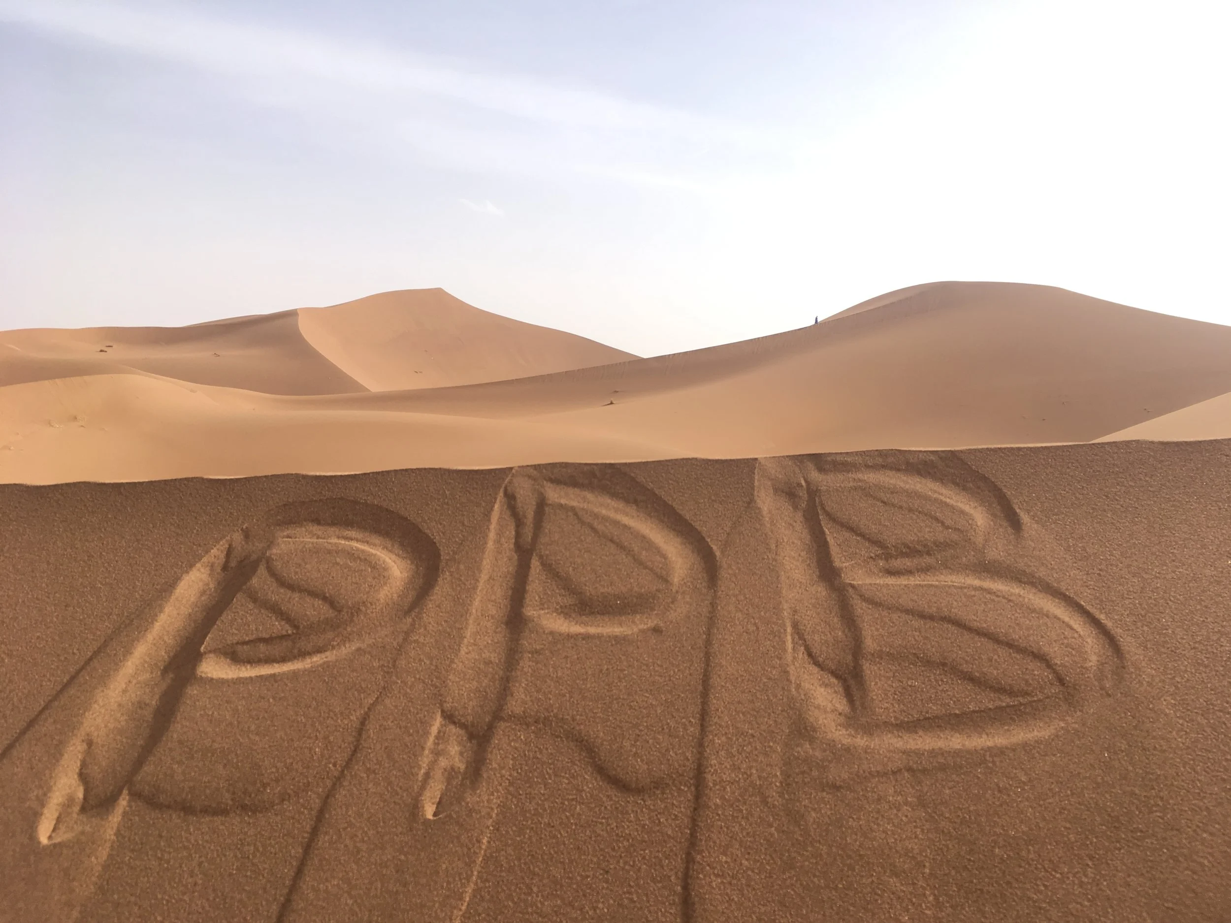 Päivä 6 | Marokko | Ouarzazate - M'hamid - Erg Chigaga | 270km + 40km