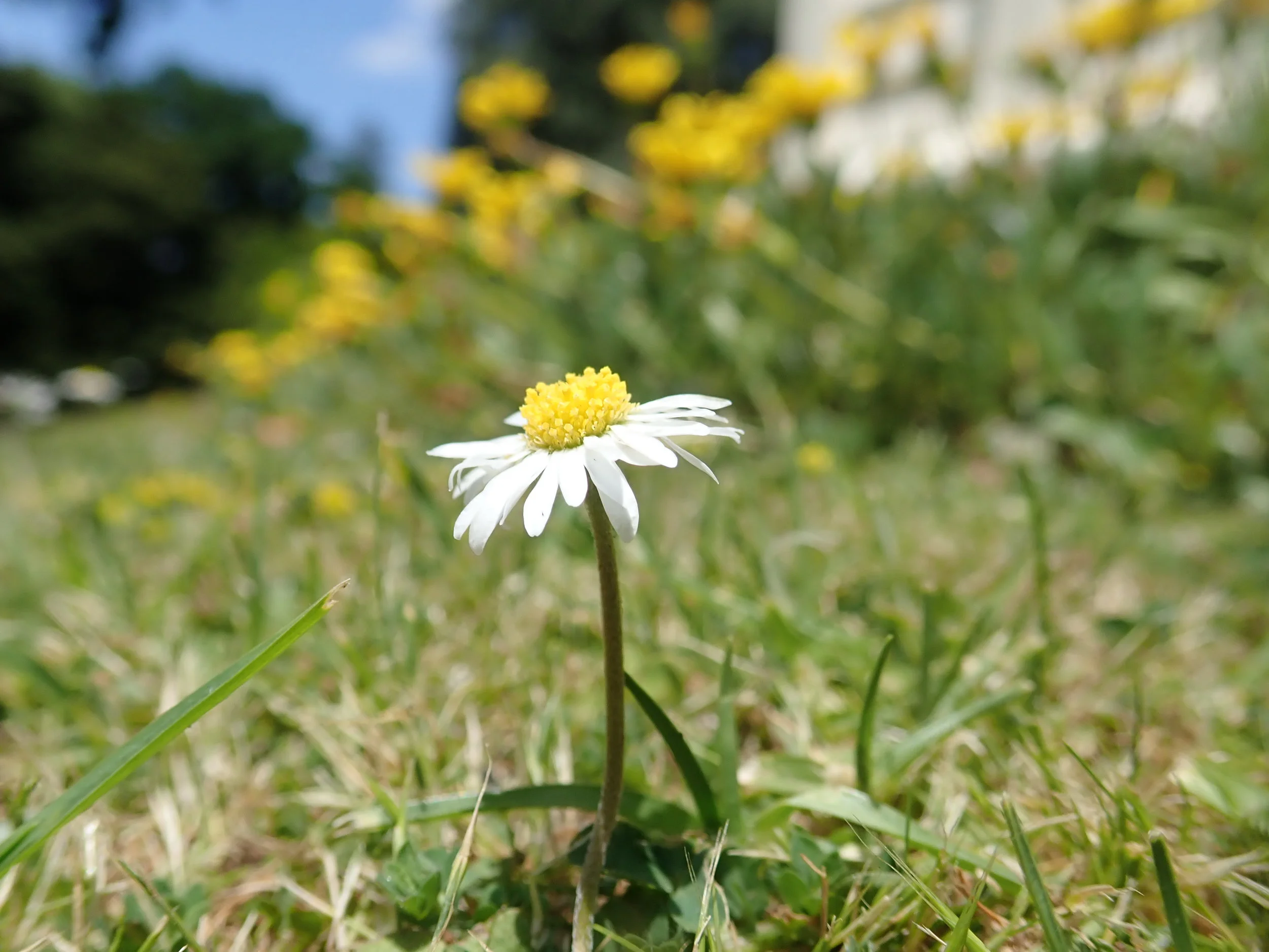 Päivä 1 | Uusi-Seelanti | Auckland | 0km