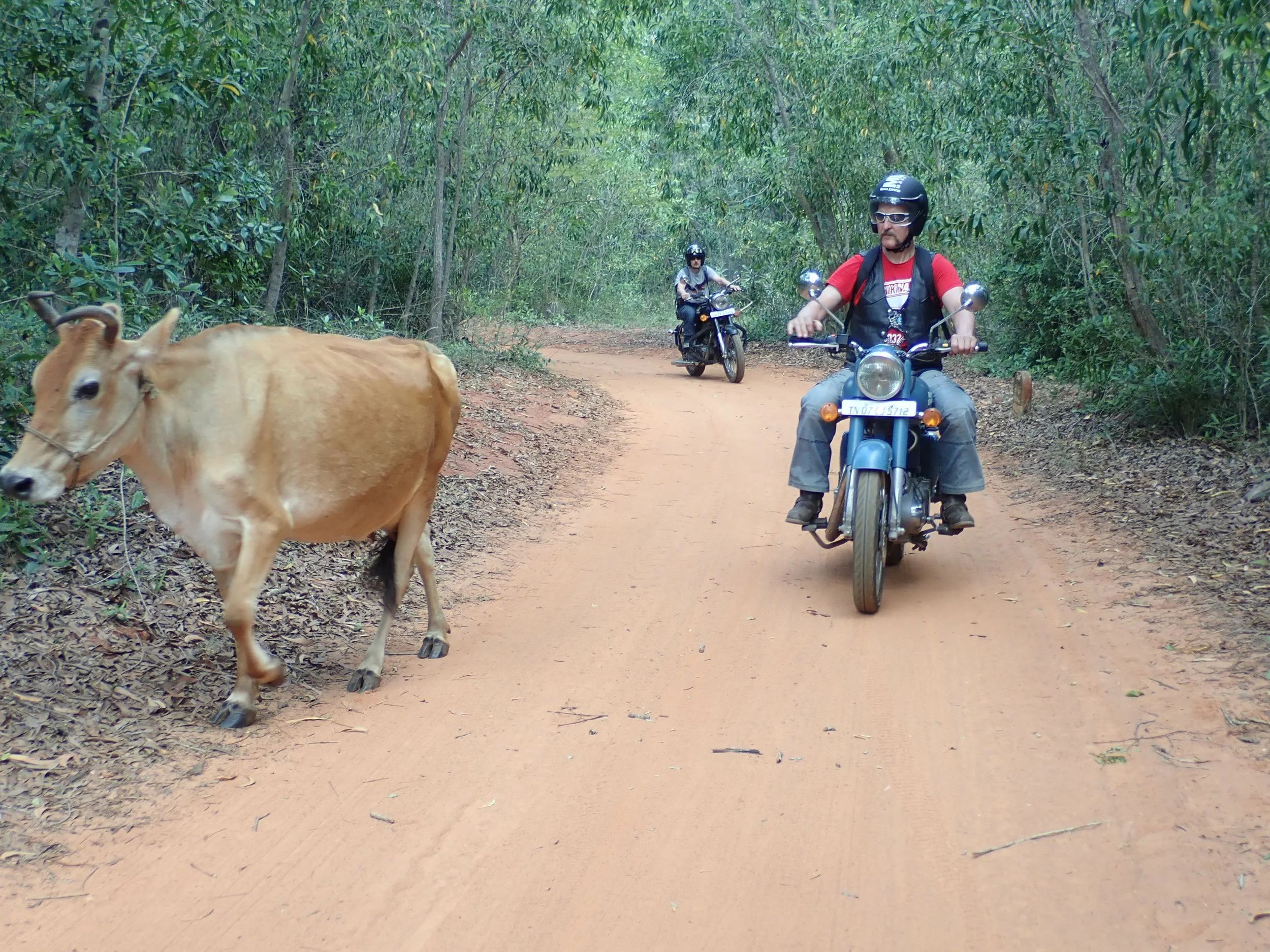 Päivä 12&13 | Intia | Pondicherry - Mahabaliburam - Chennai | 155km