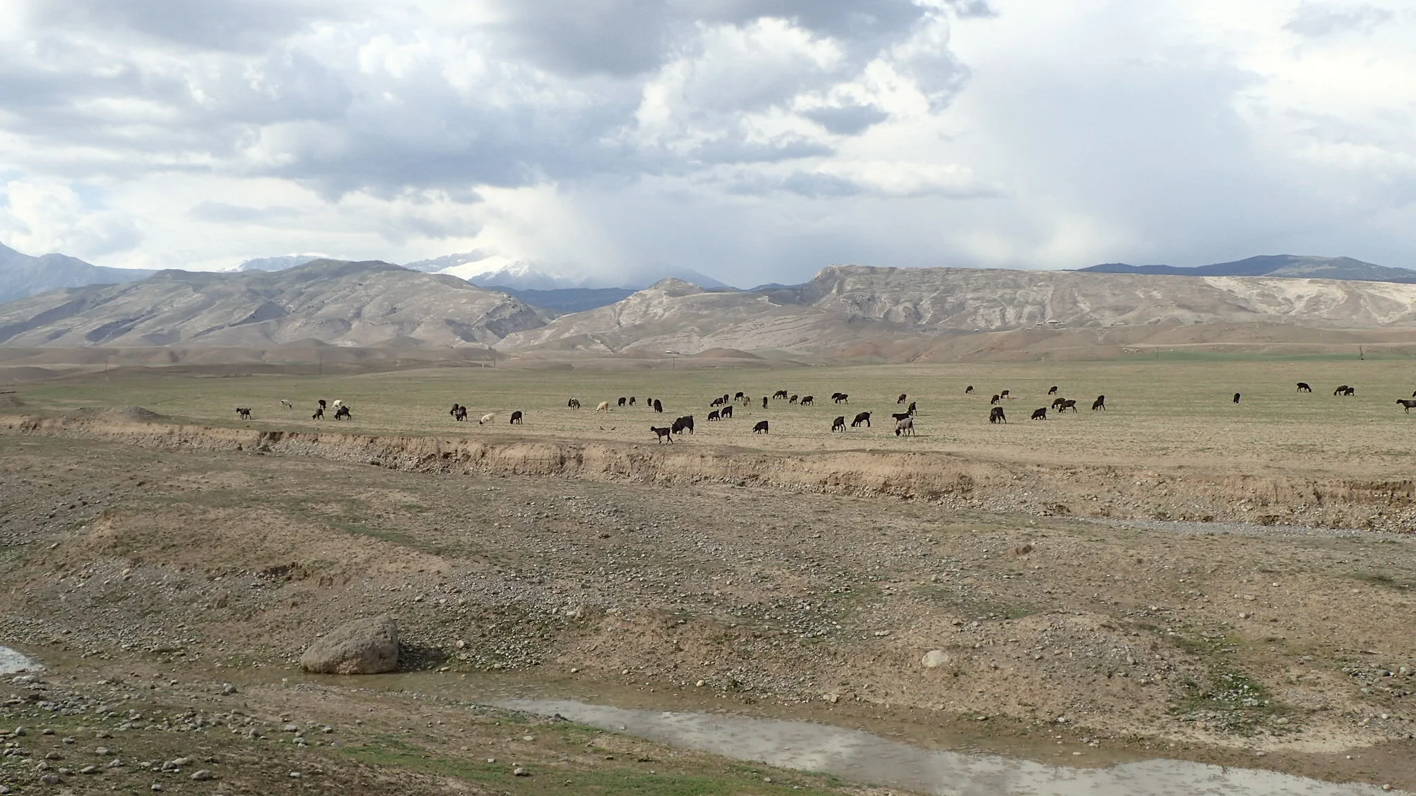 Päivät 34-36 | Dushanbe, Tajikistan - Baysun - Bukhara, Uzbekistan - Turkmenabad, Turkmenistan | 700km