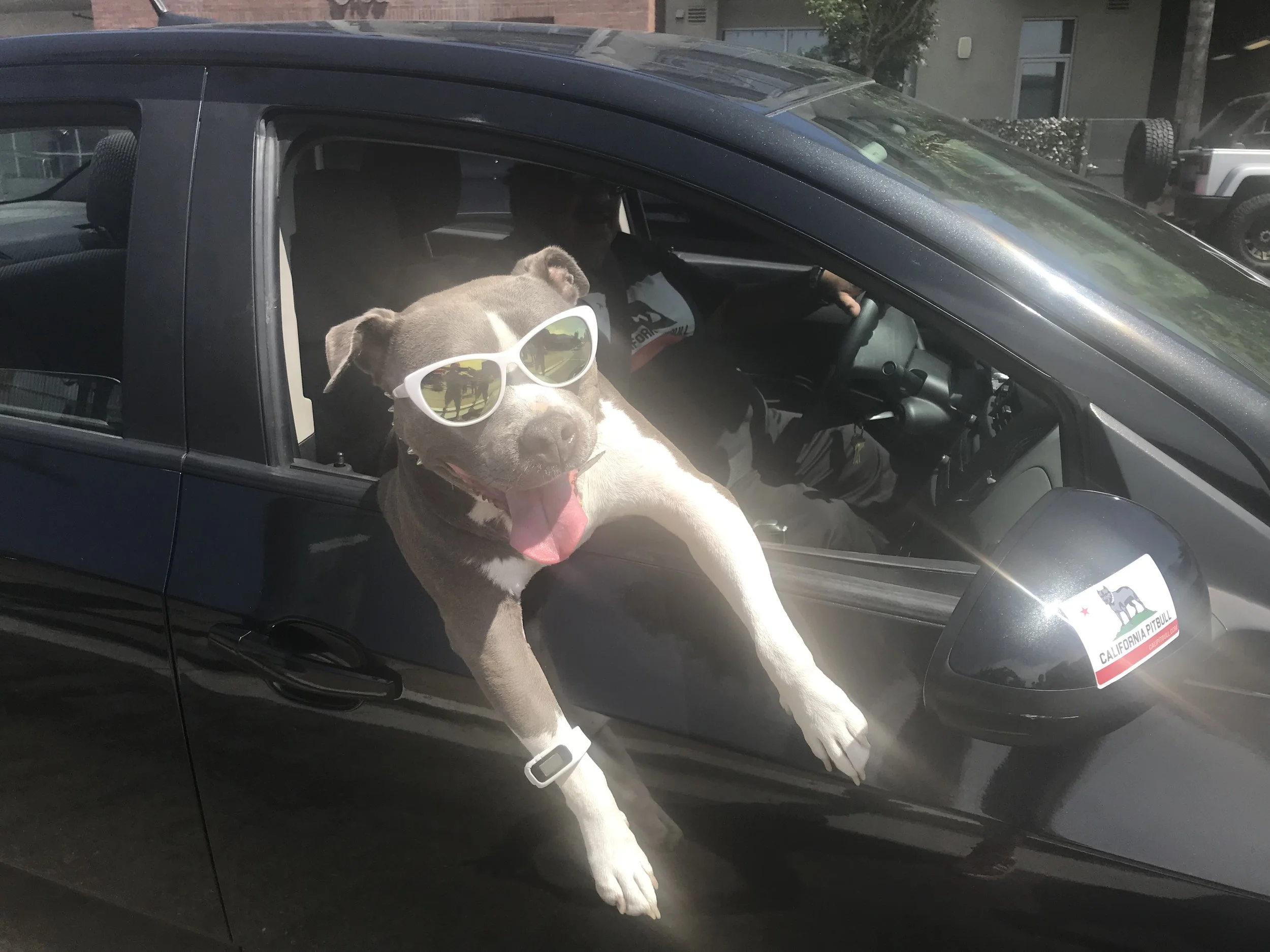 Päivä 7 | HIGHWAY 1 | Vapaapäivä San Diego | 0 km