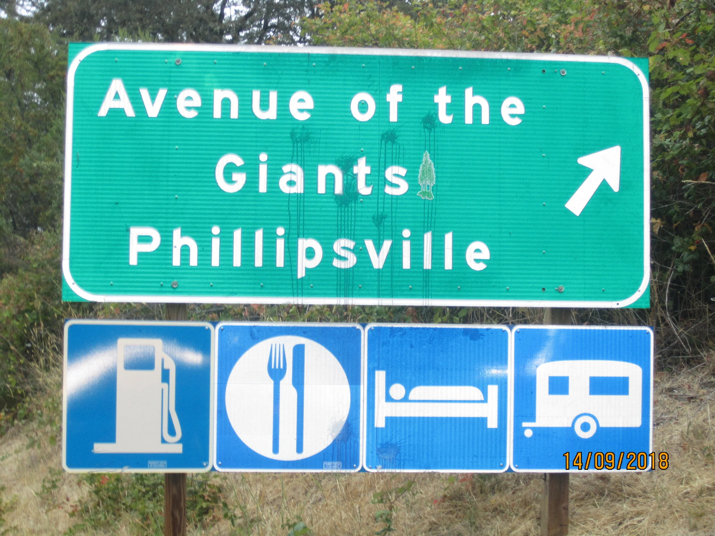 Päivä 12 | HIGHWAY 1 | Redway - Redding | 440 km