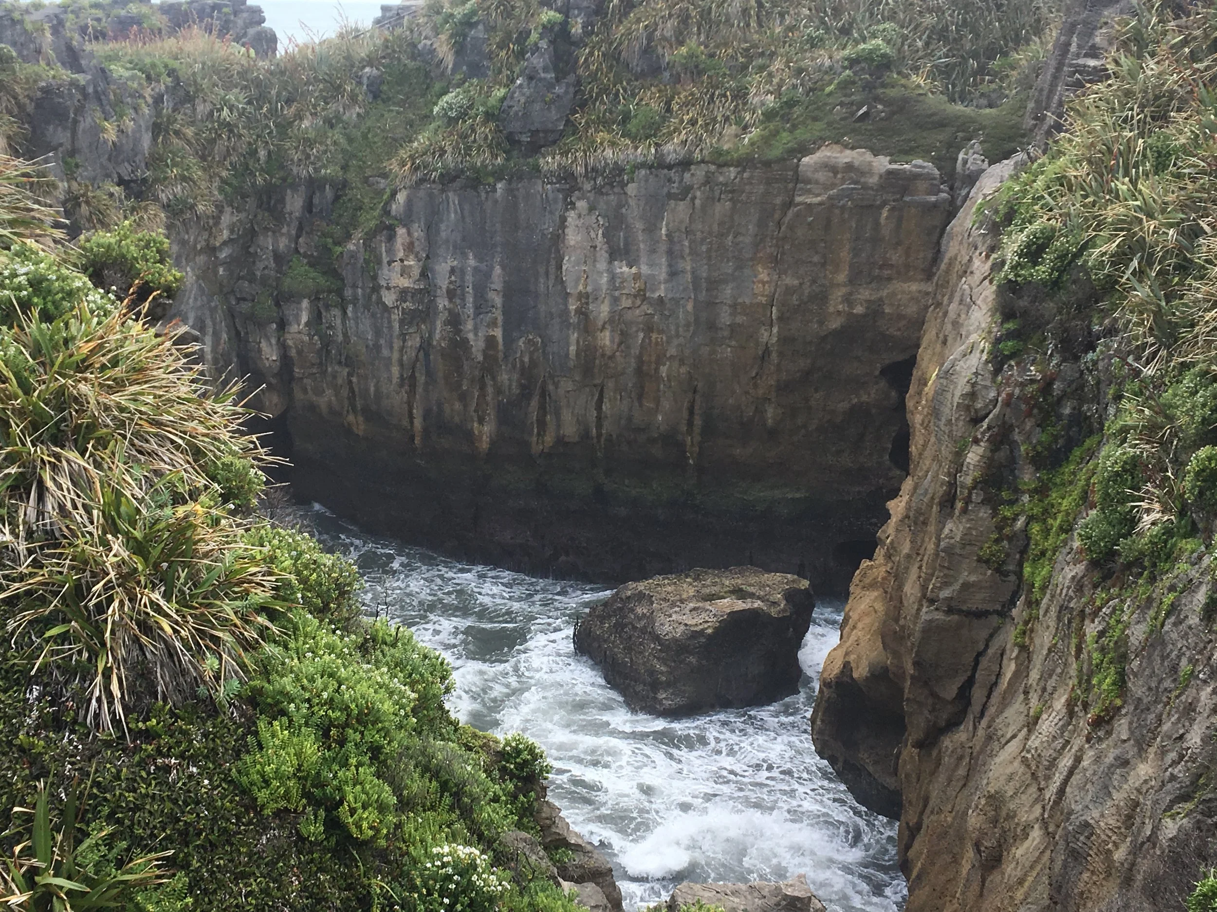 Päivä 8 | Westport - Frans Josef - Fox Glacier | 300 km.