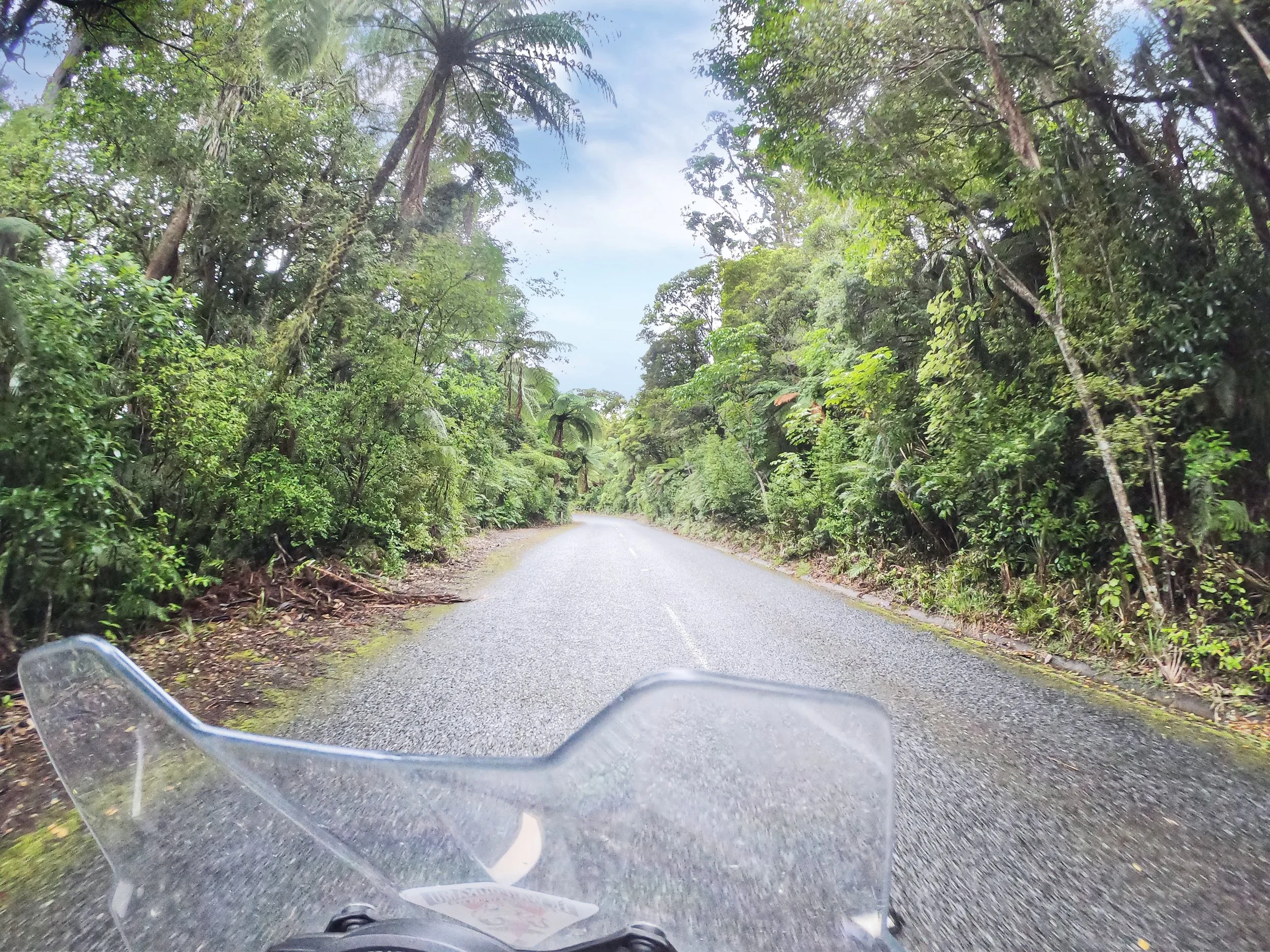 Päivä 2 I Kiwi I Auckland - Muriwai Beach - Kaitaia I 390km
