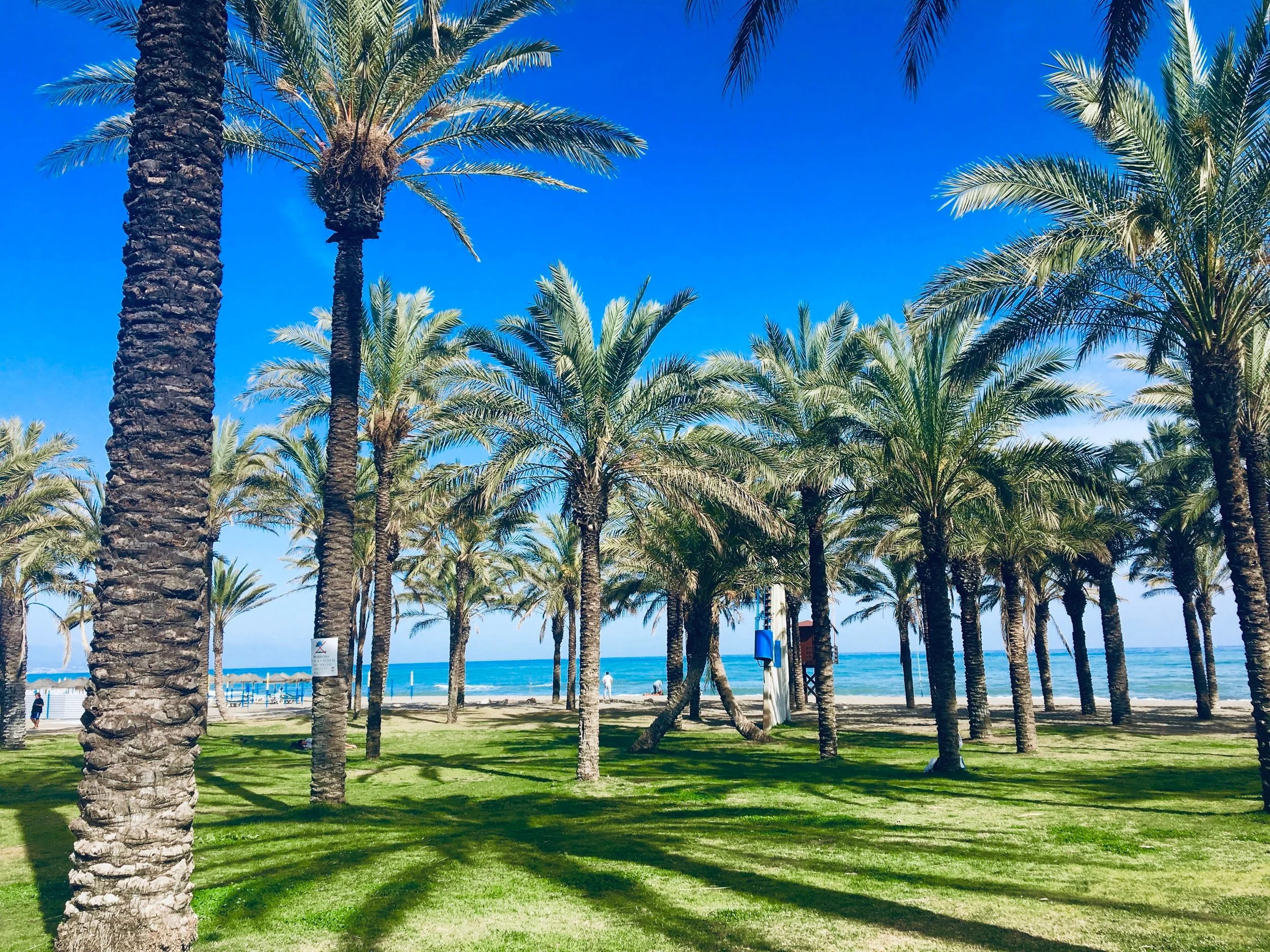 Päivä -2 | Andalucia | 