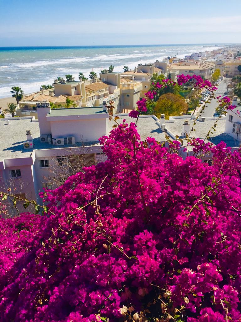 Päivä 1 | Andalucia 