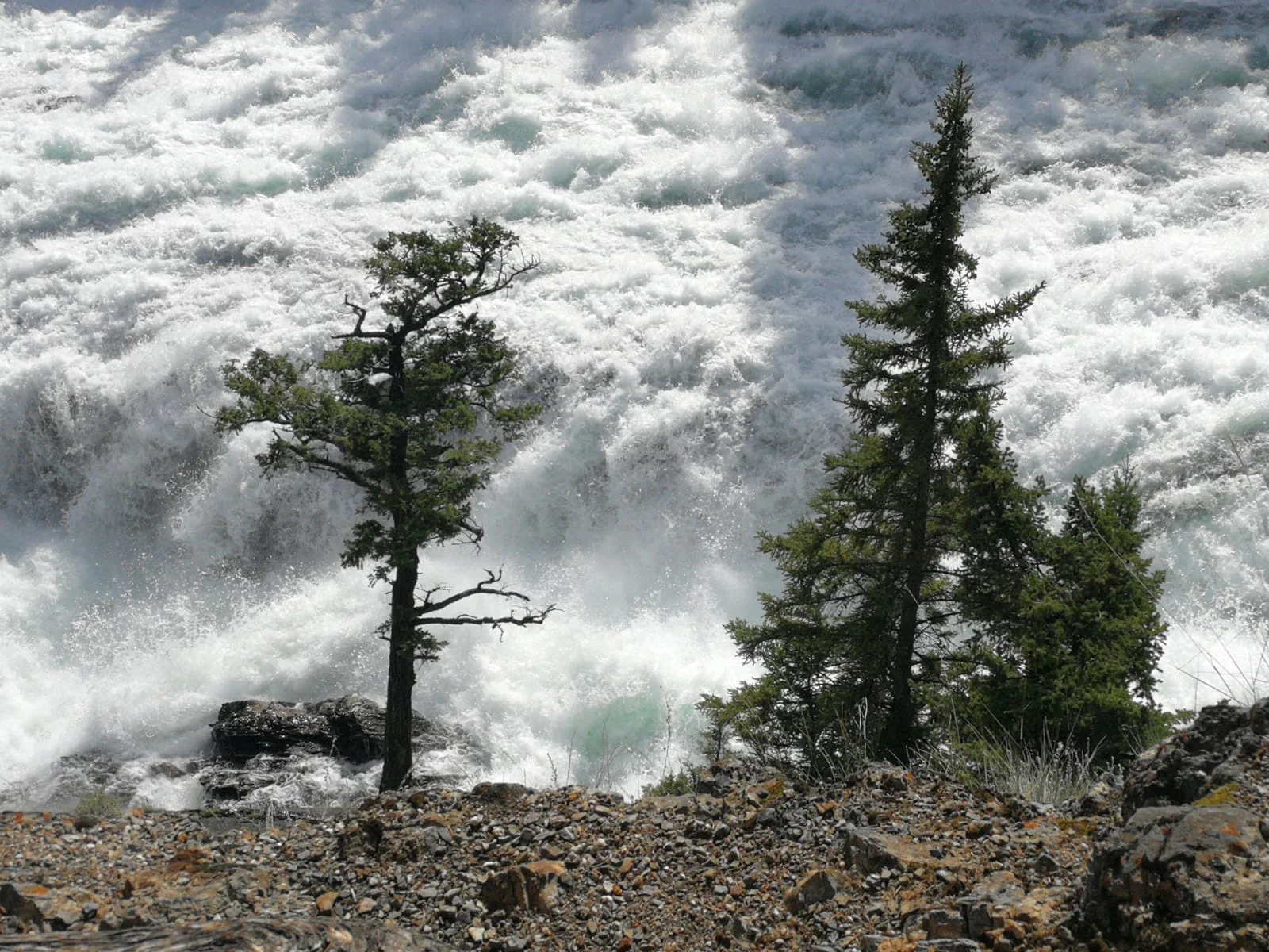 Päivä 7 | Kalliovuoret | Banff