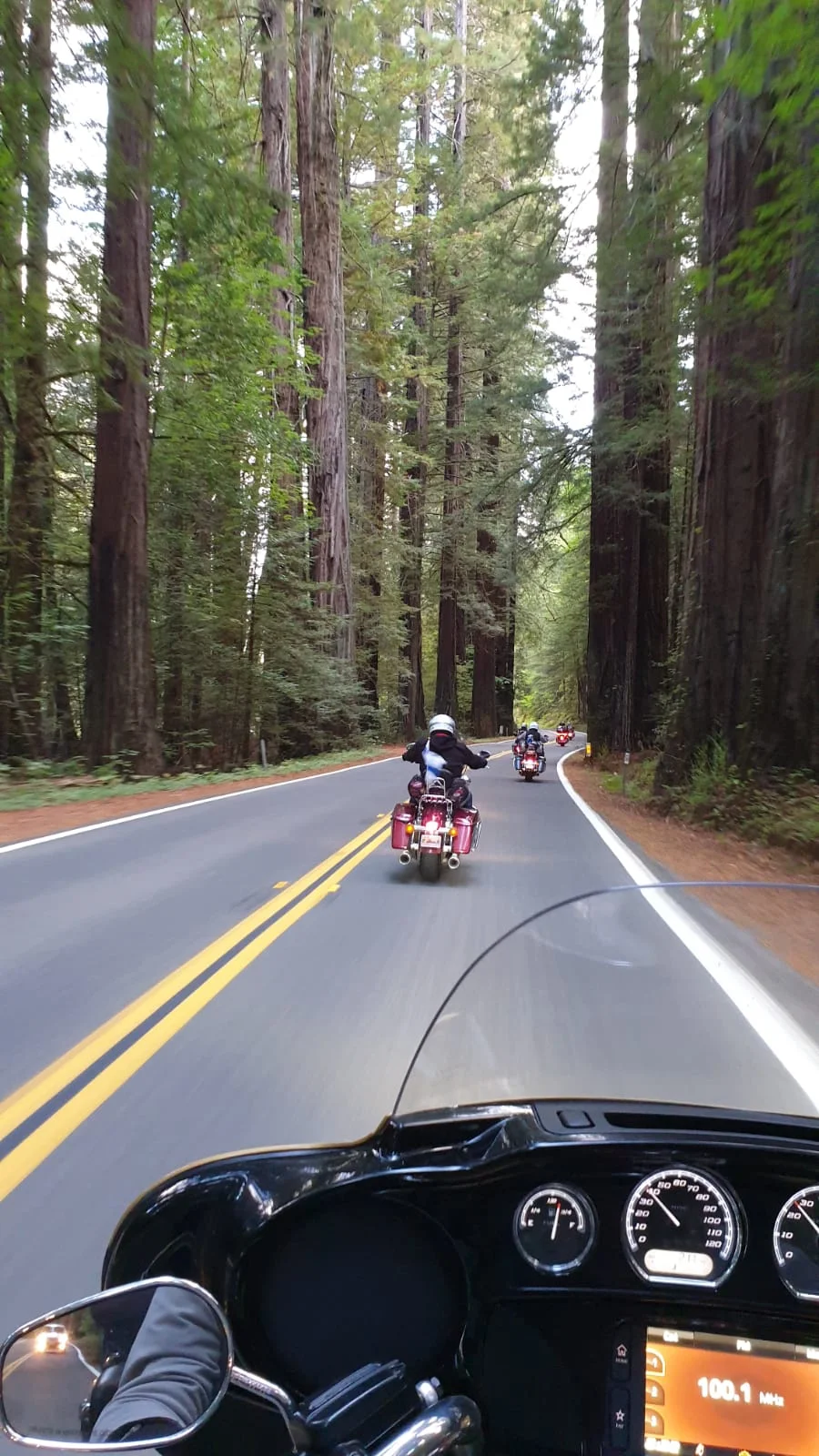 Päivä 12 I Highway 1 I Redway - Eureka - Redding I 350 KM
