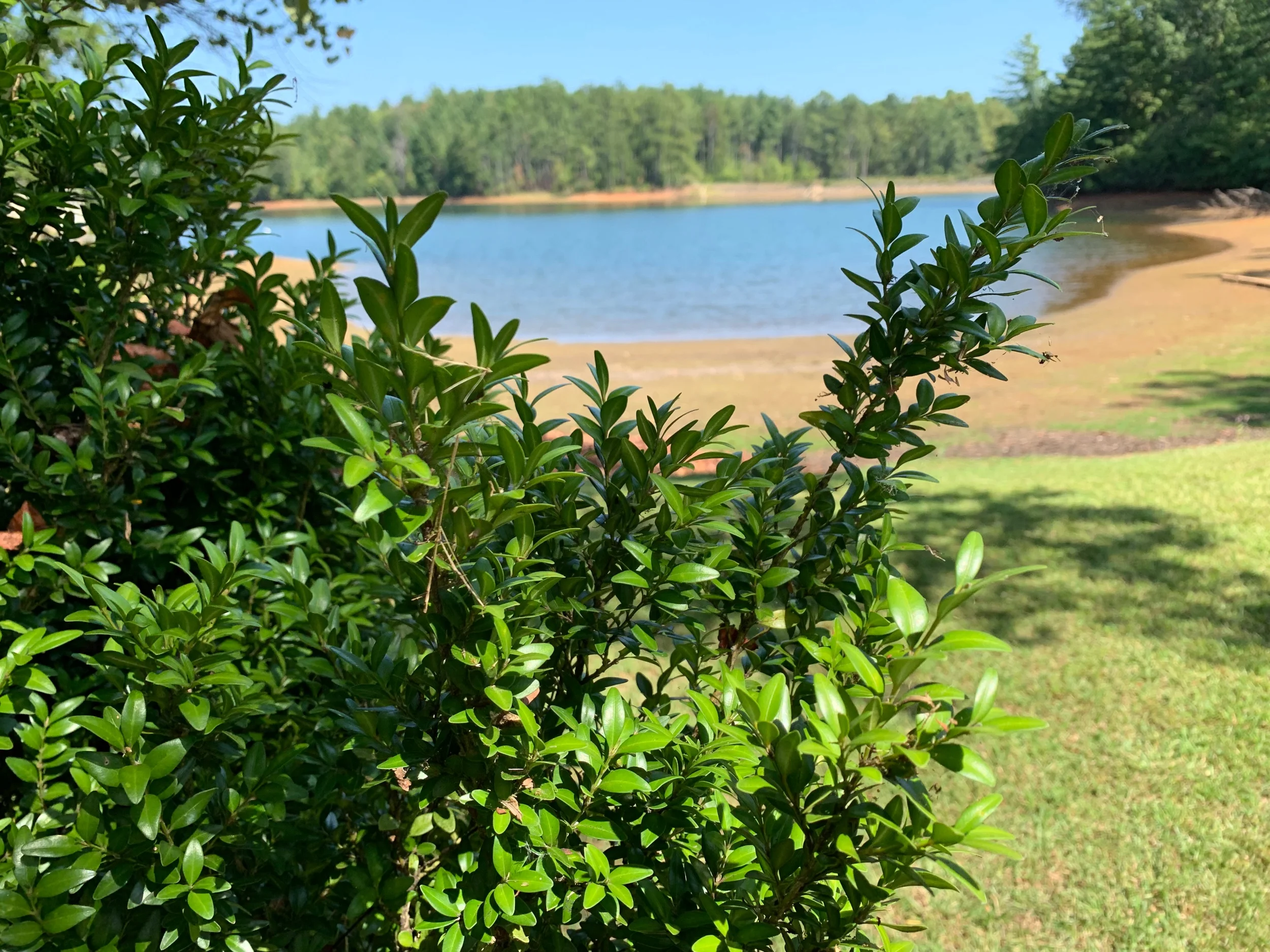 Päivä 10 | Deals Cap - Elberton | 250km