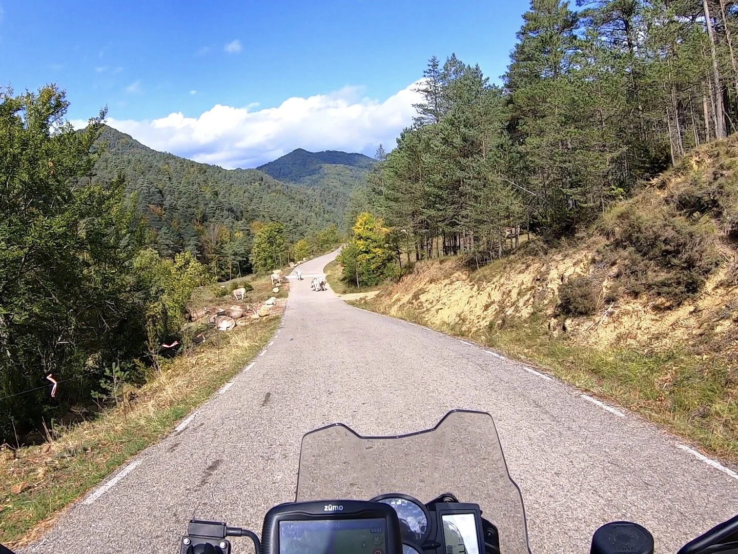 Pian Bergan jälkeen käännyttiin erittäin pienelle tielle BV-4656 San Jayme de Frontanyan kautta. Tie ei ole kenellekään tuttu ja sillä hyvä - erittäin kapeaa, mutta asfaltoitu pätkä kauniissa maalaismaisemissa. Ainoana miinuksena - piti väistää lehm…