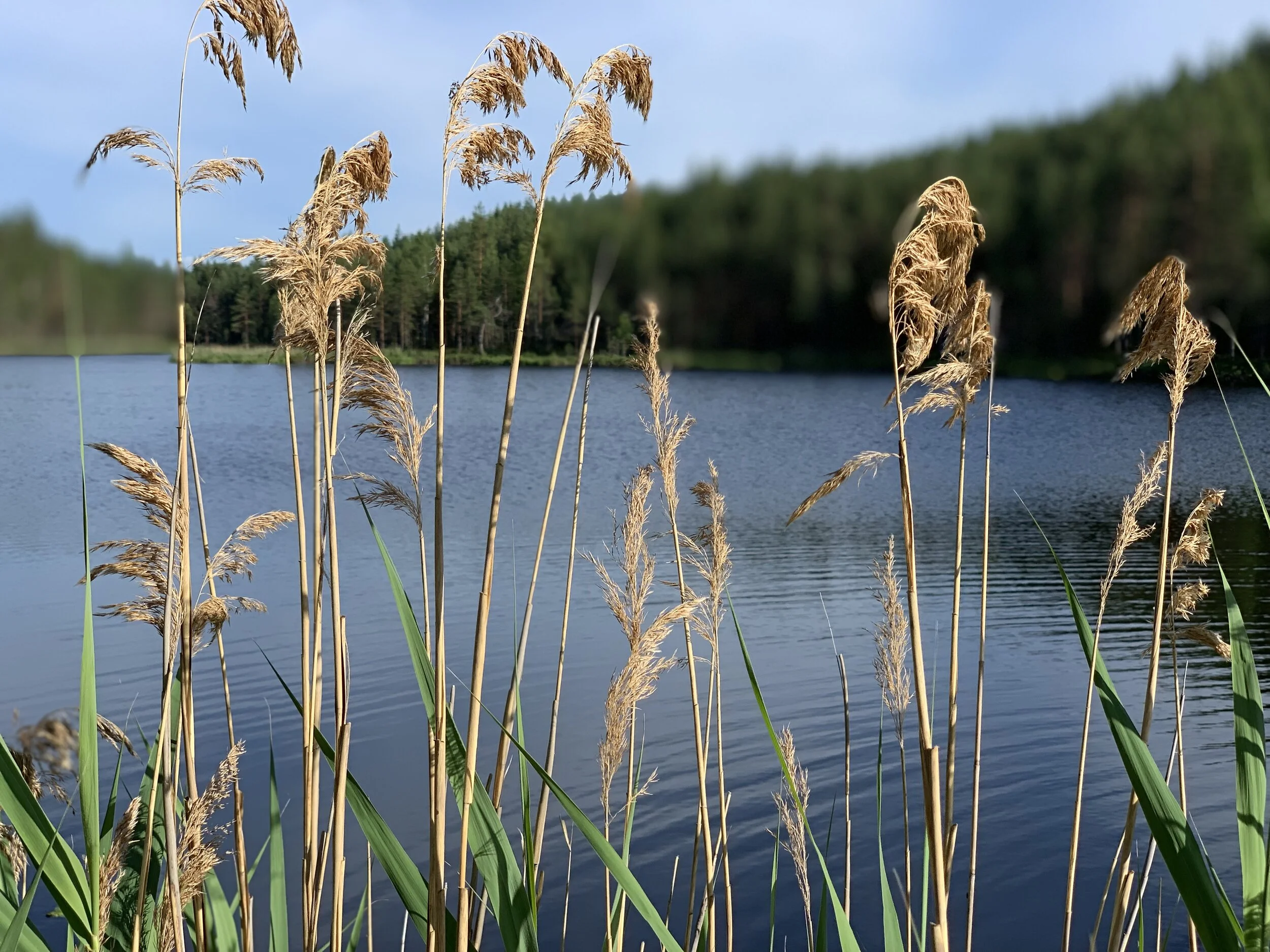 Päivä 1 | Hamina - Puumala | 347 km