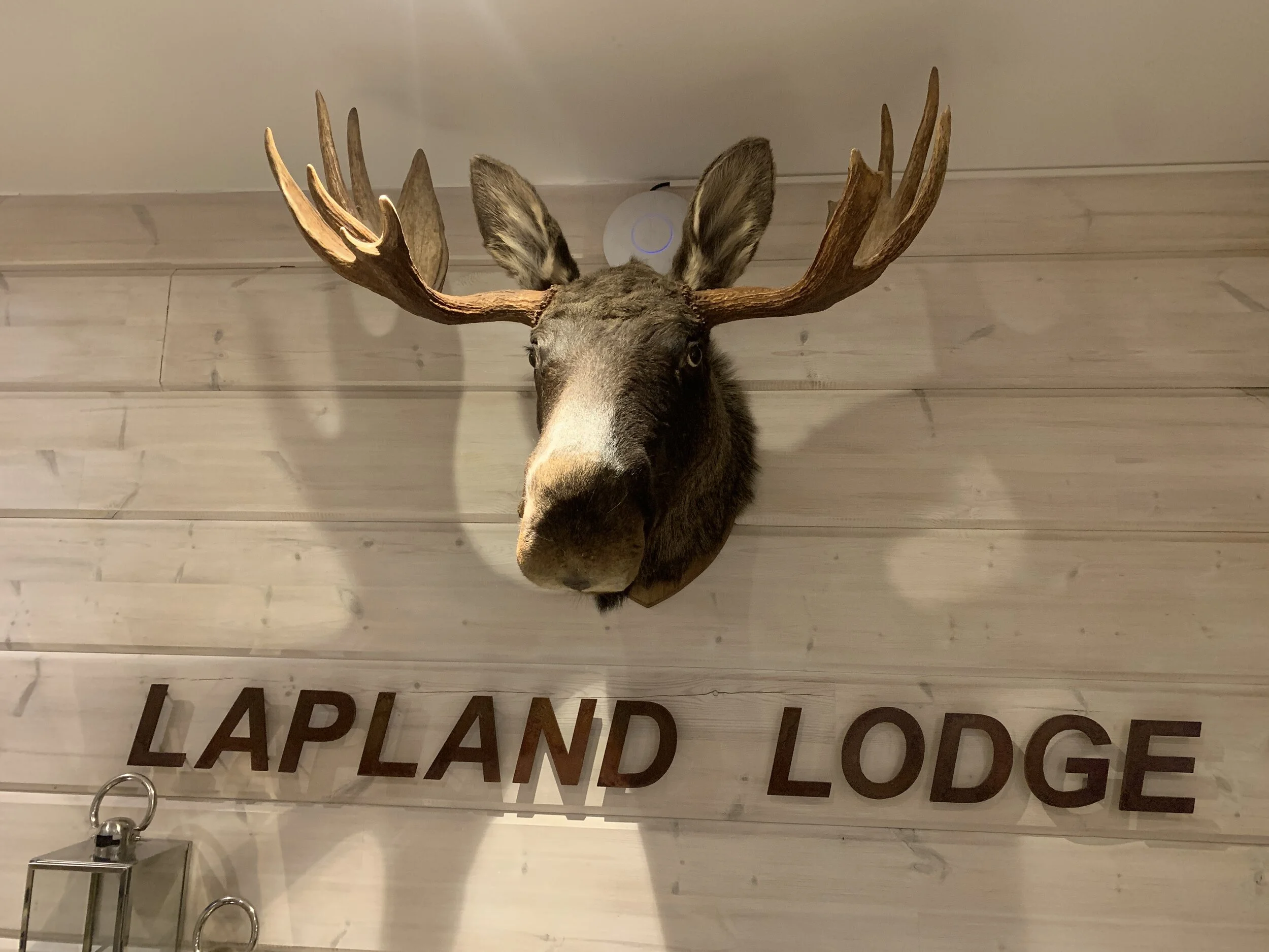 Päivä 7 | Narvik - Arvidsjaur | 540 km 