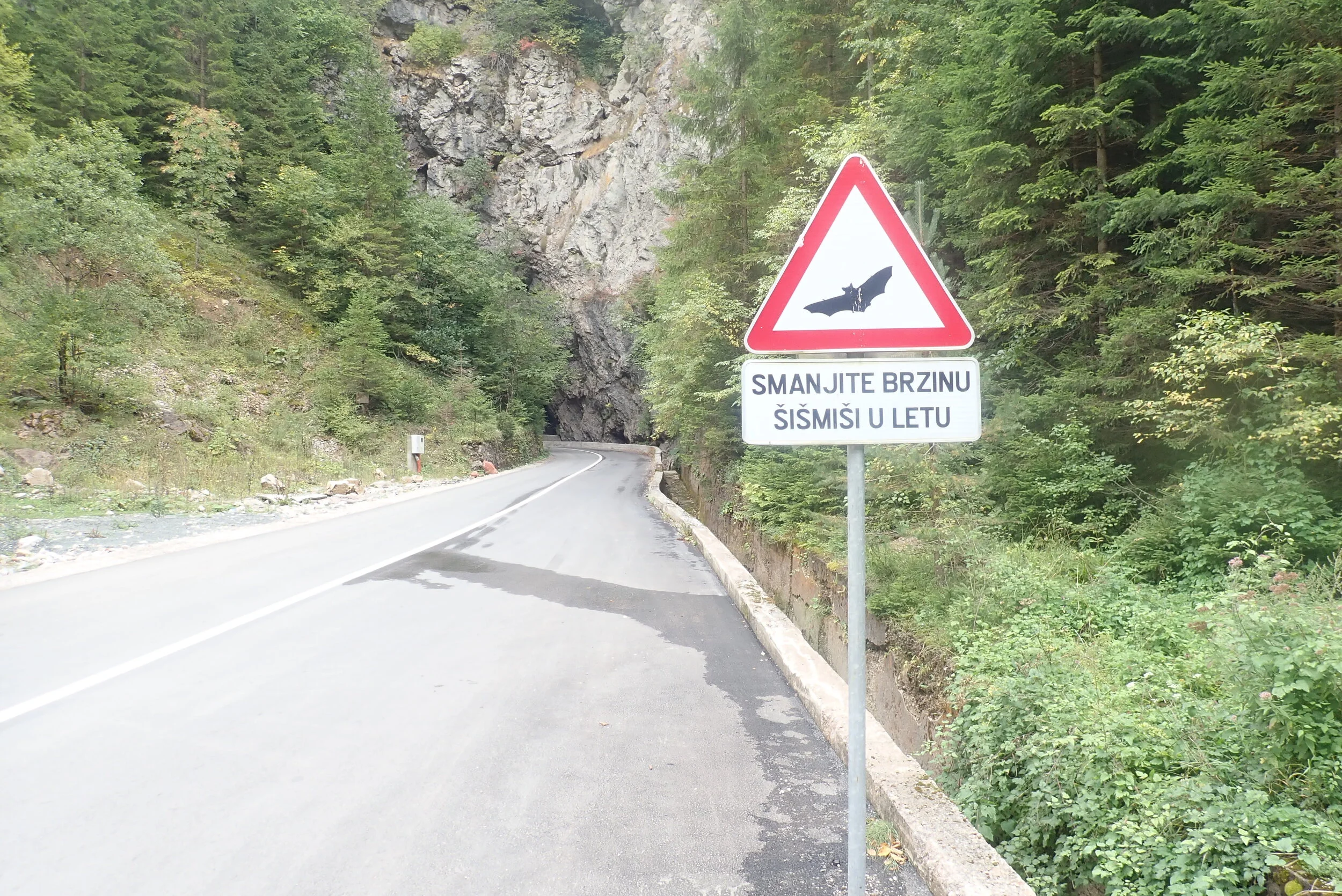 Päivä 8 | Sarajevo - Pécs, Unkari | 440 km