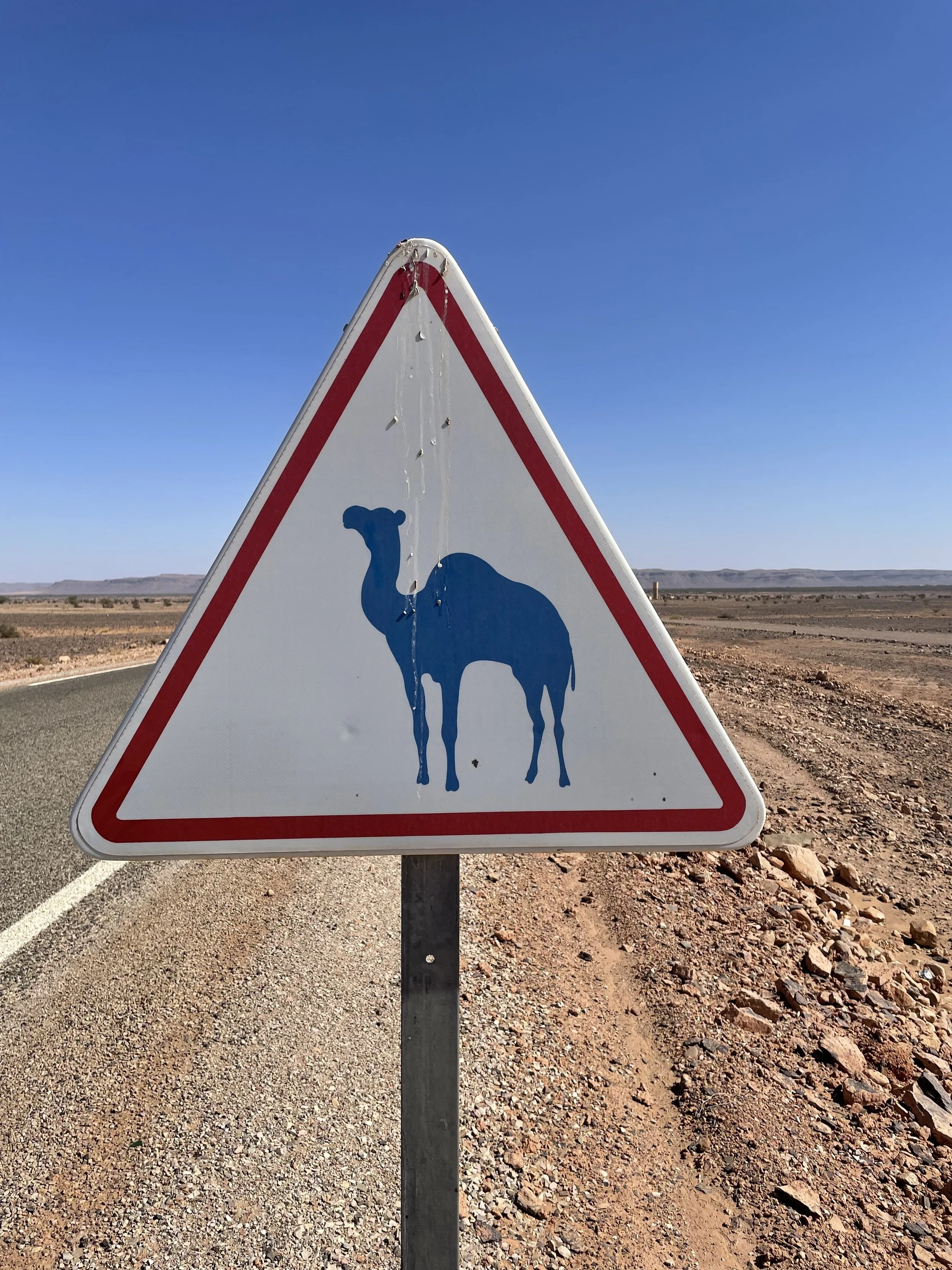Päivä 3 | Ouarzazate - M'hamid | 256km