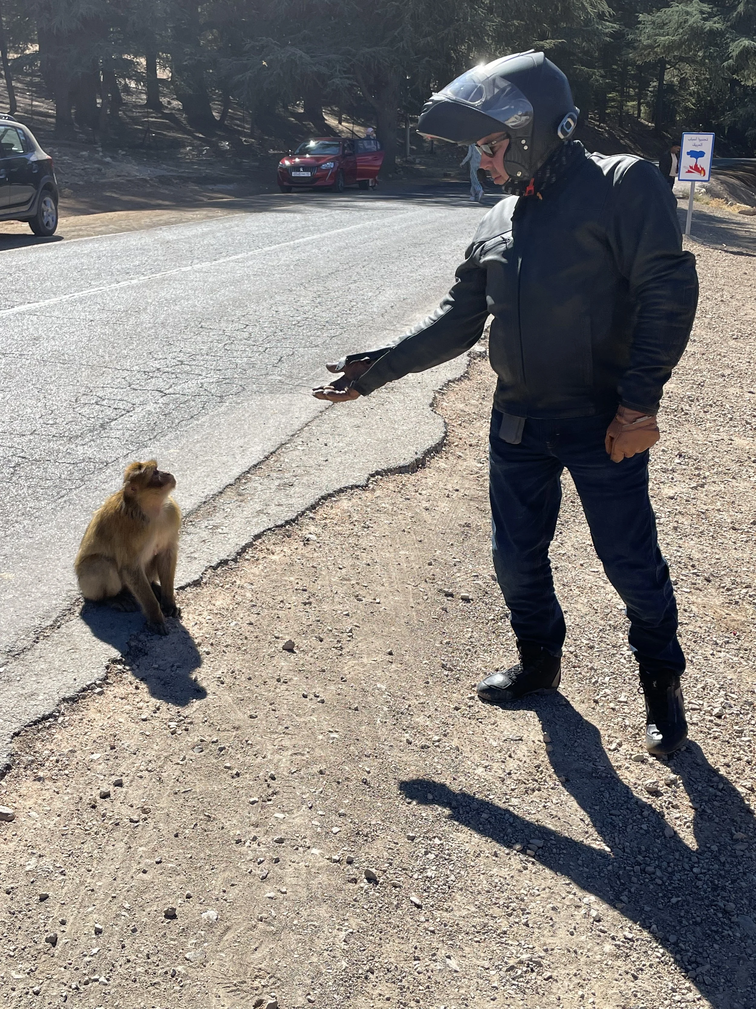 Päivä 5 | Errachidia - Fes | 356km